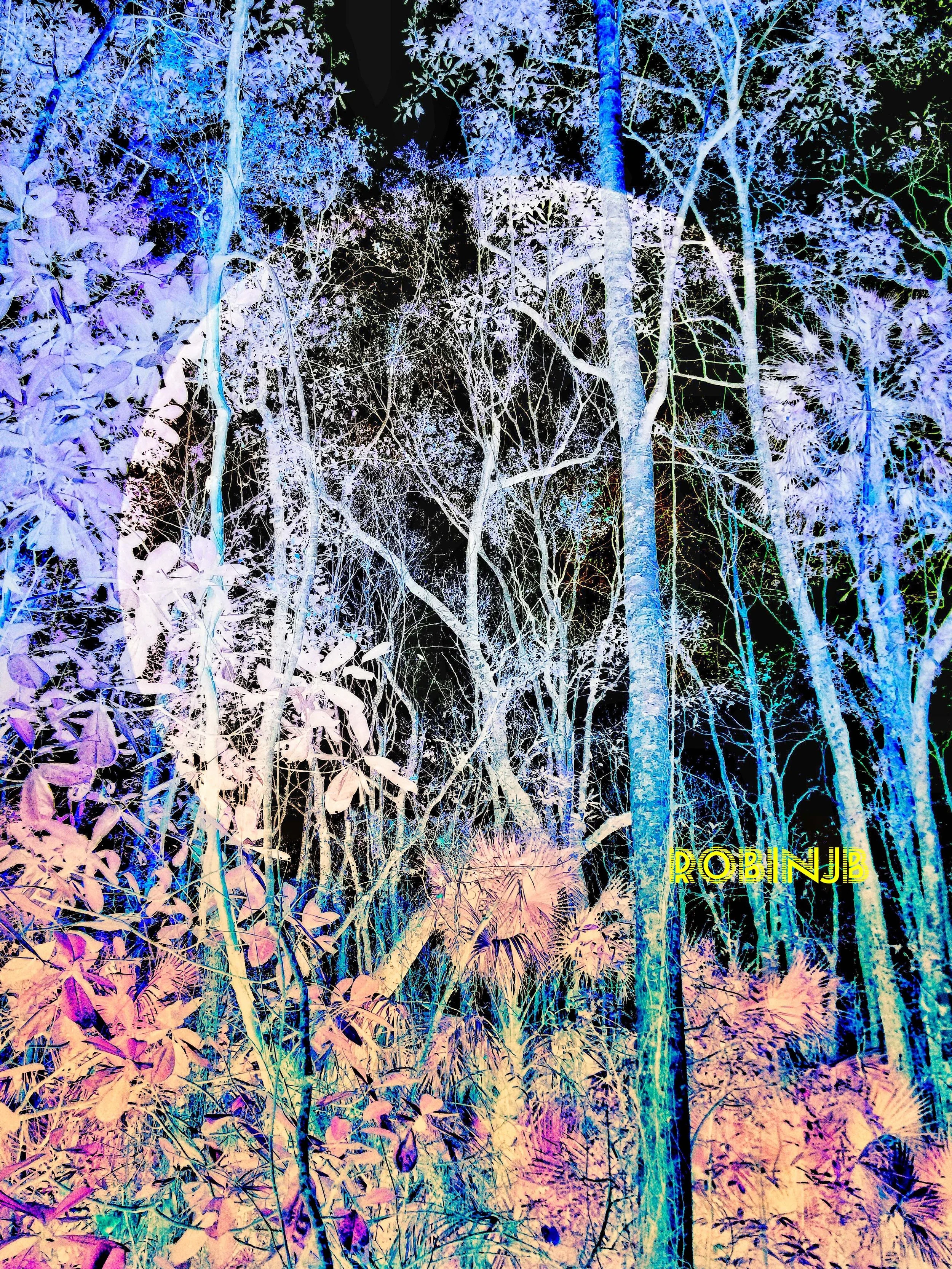 Nature Spirits
