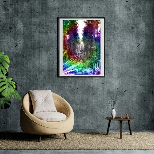 rainbow.forest_ex2.jpeg