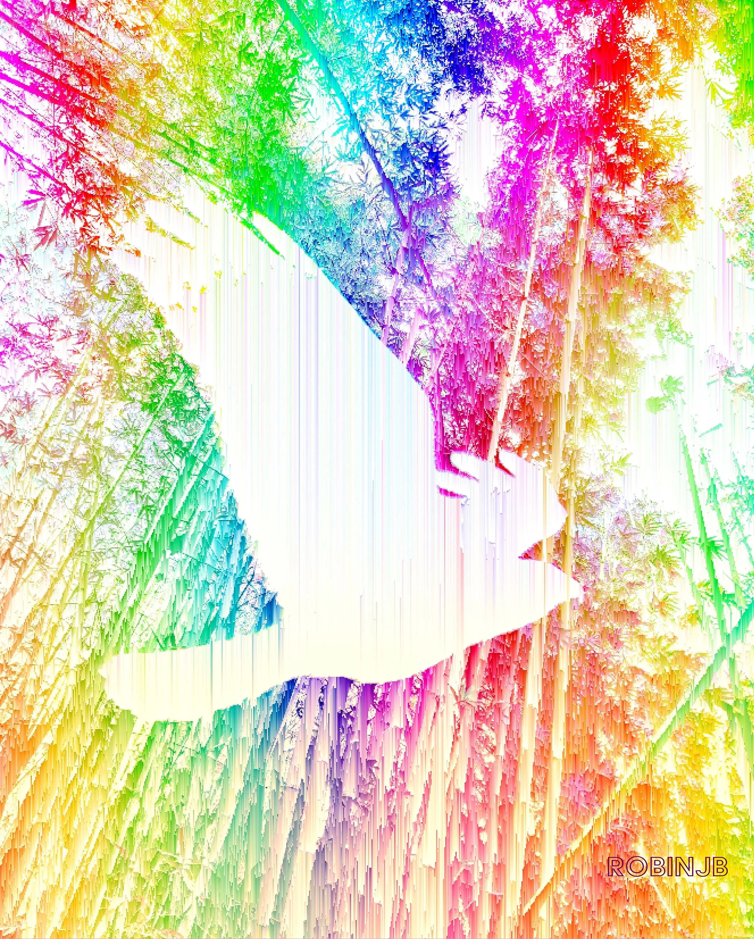 Rainbow Hawk