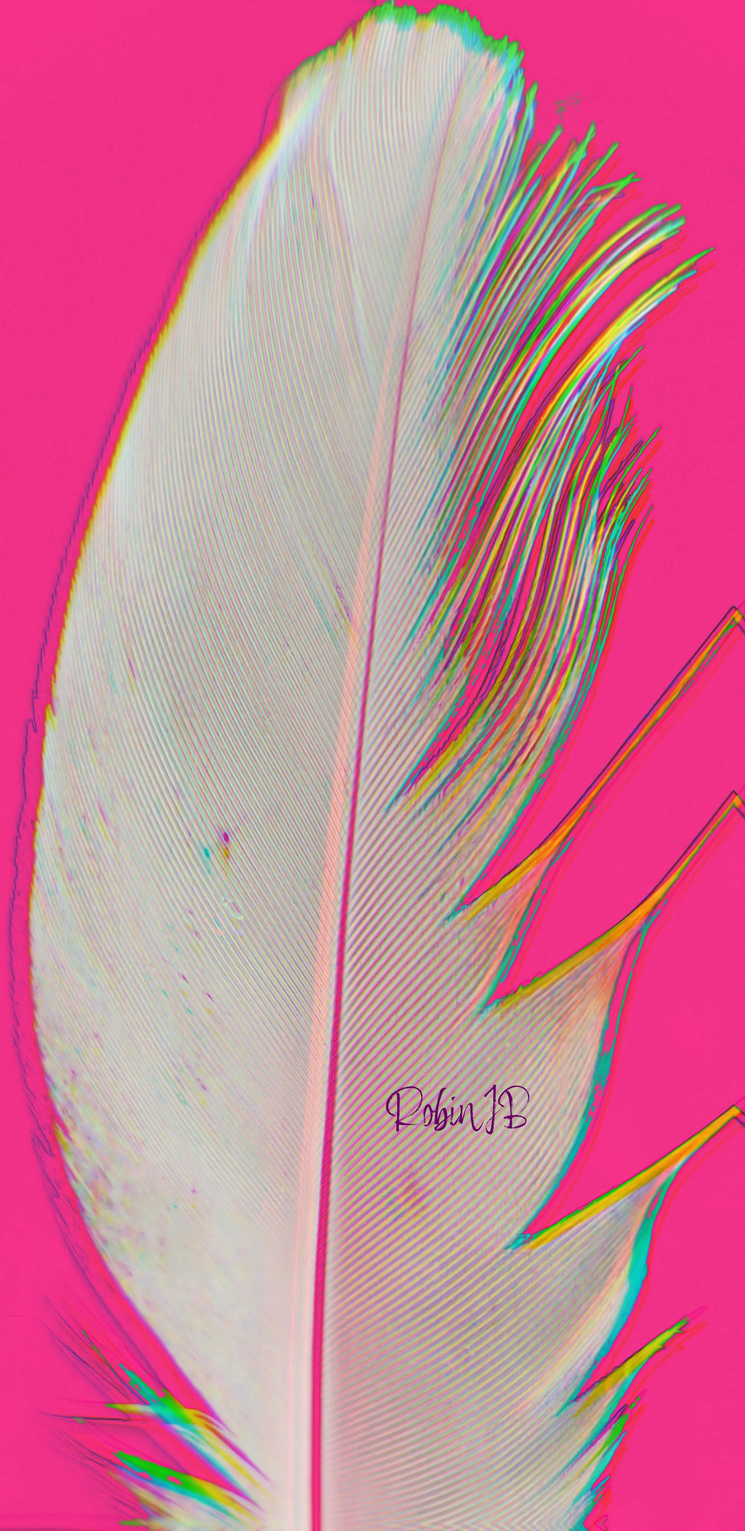 Trippy Feather (Pink Version)