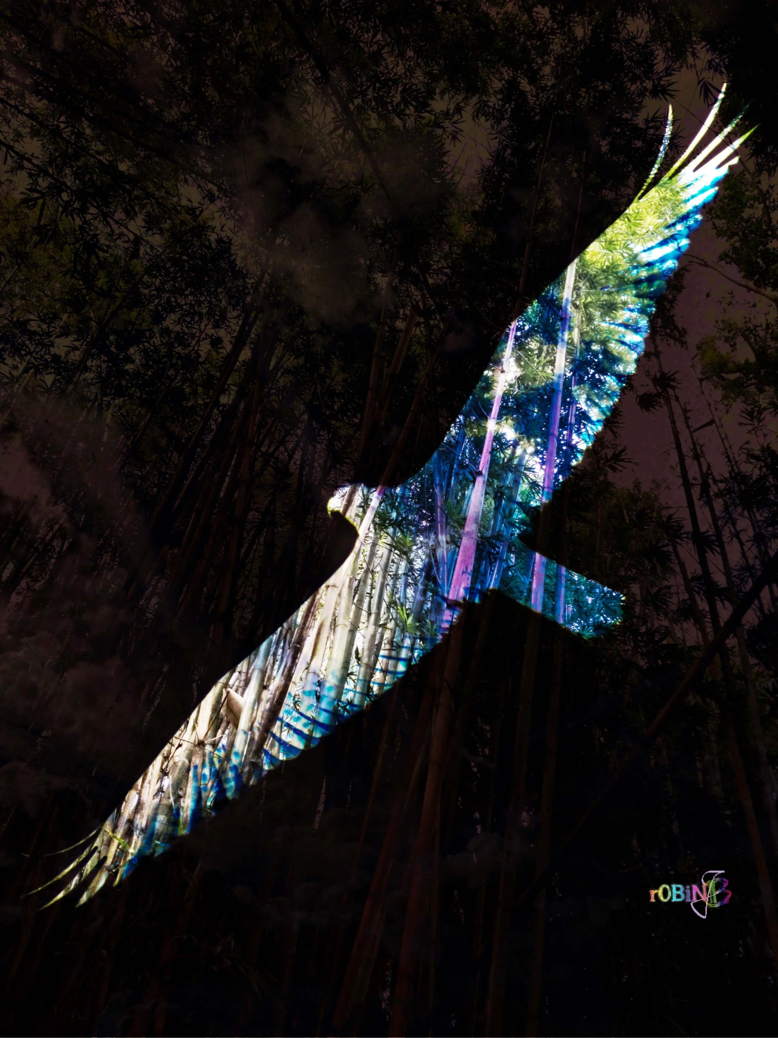 Expanded Wings