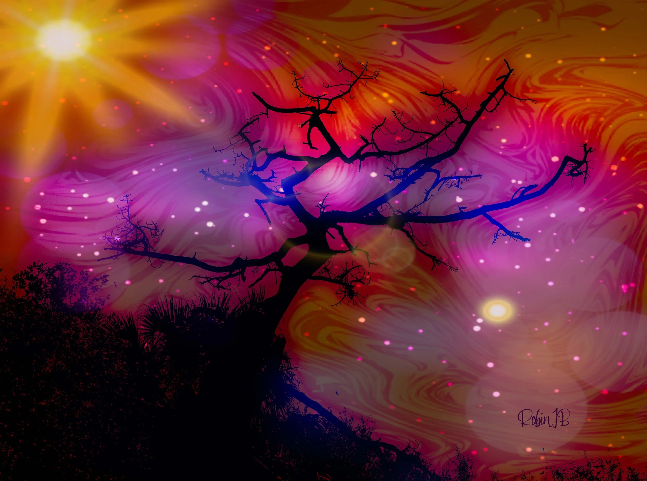Creative Vision
