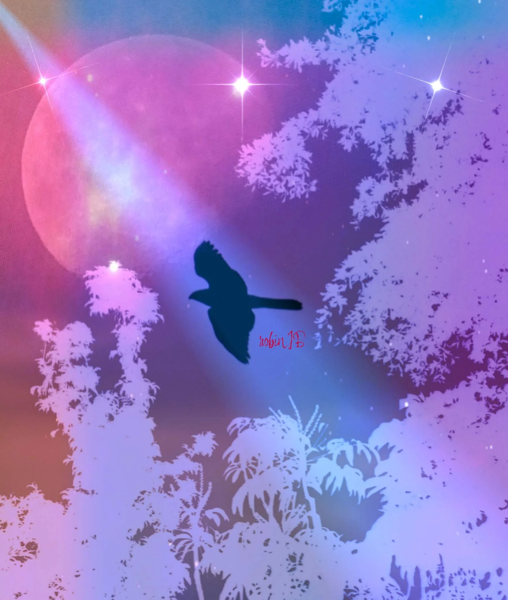 Silhouette of aflying bird with a colorful, starry night sky background and silhouettes of trees.