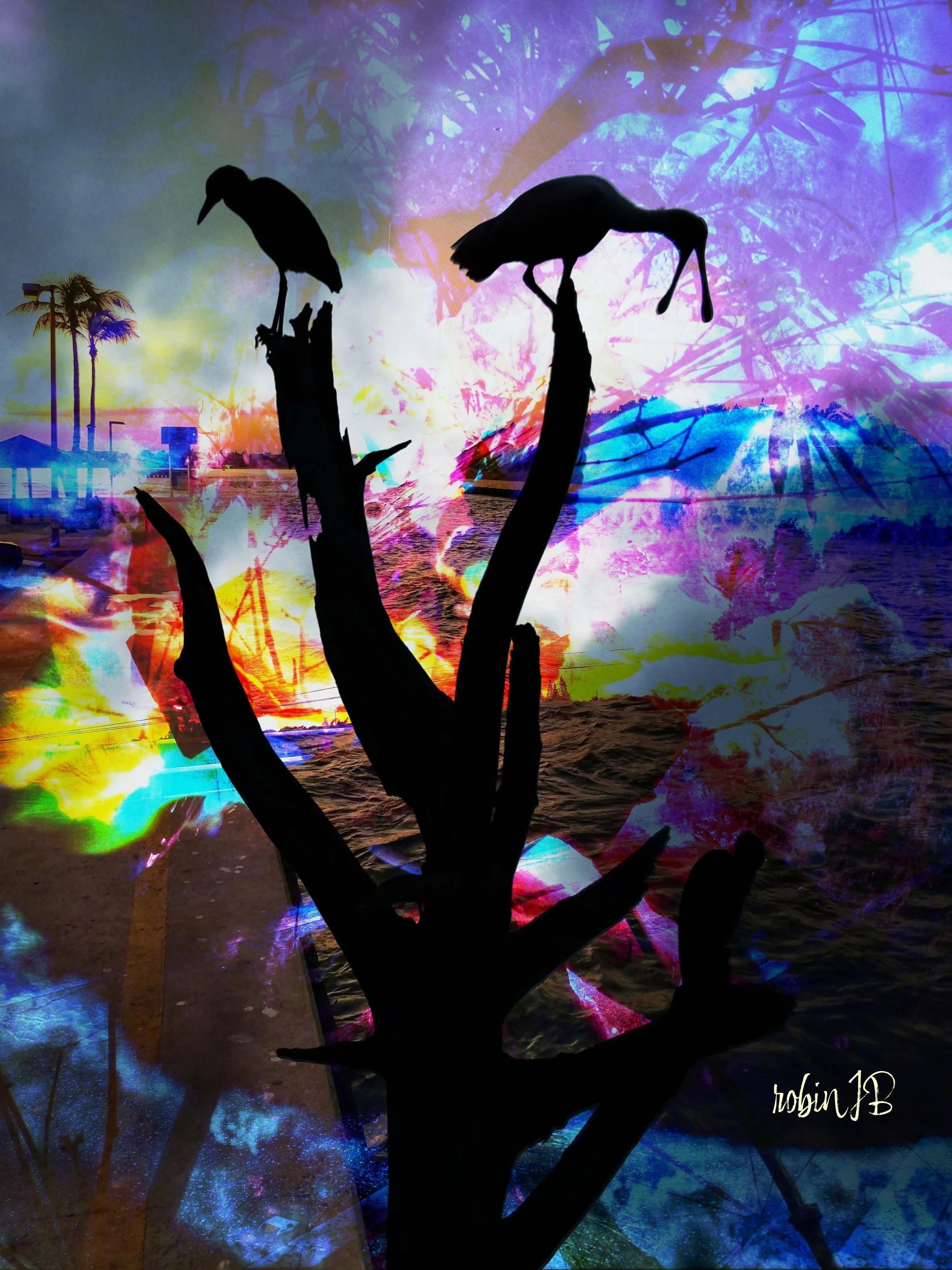 Belonging