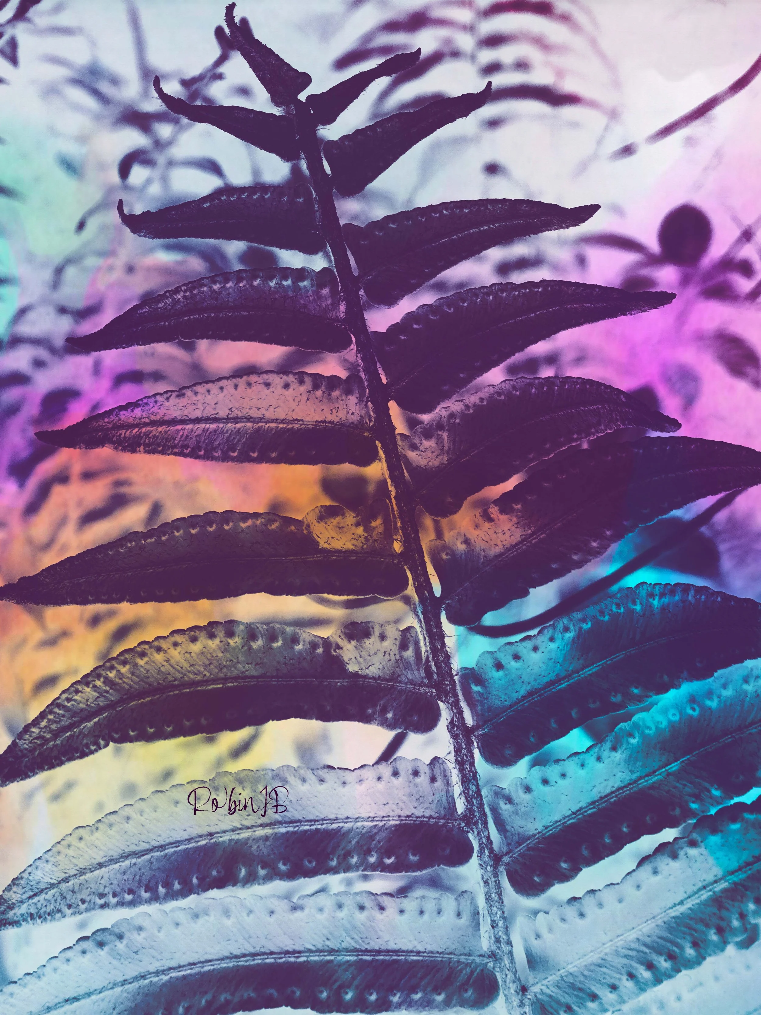 Universe Whispers