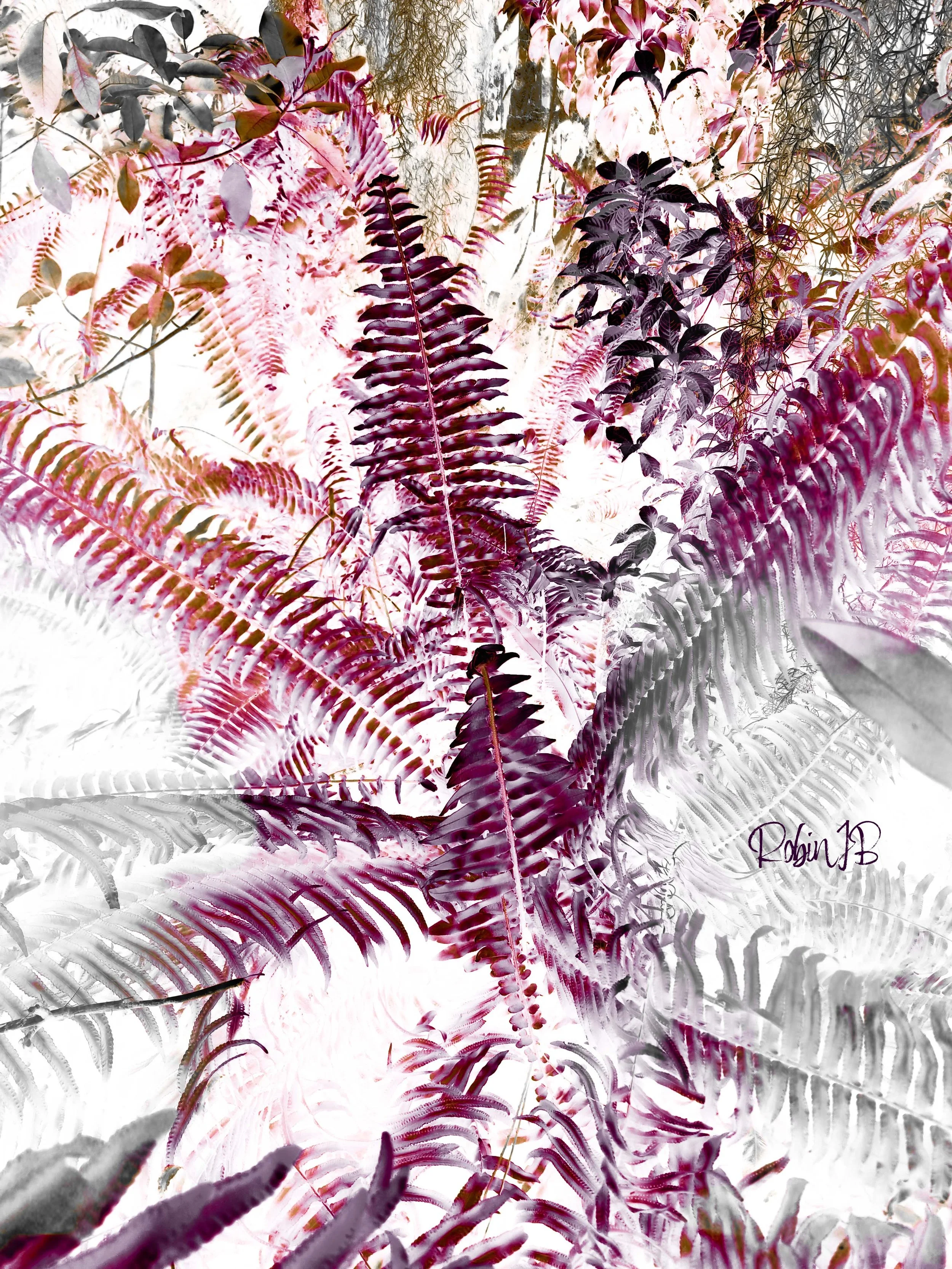 Fern Magic