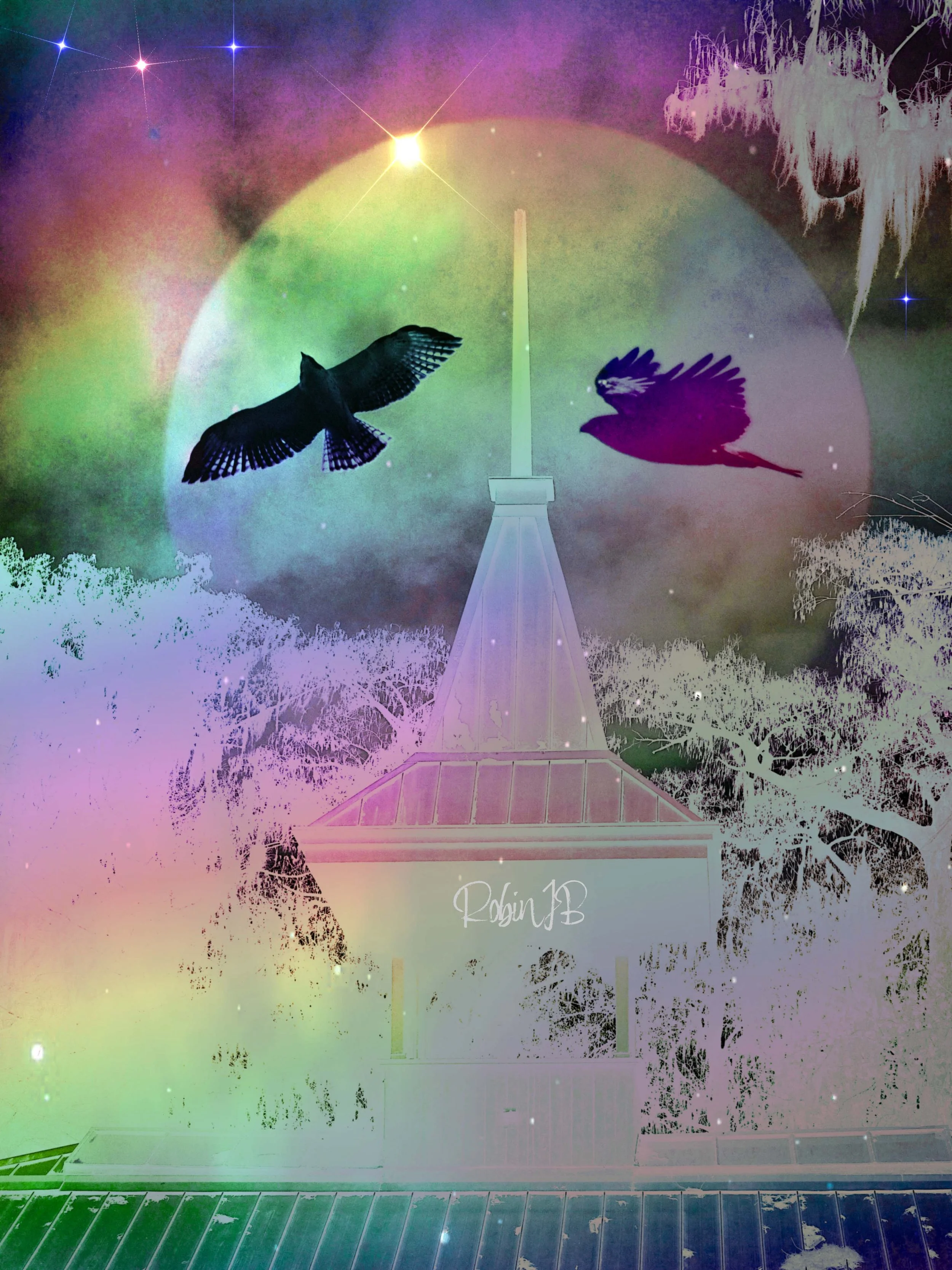 Rainbow Courage