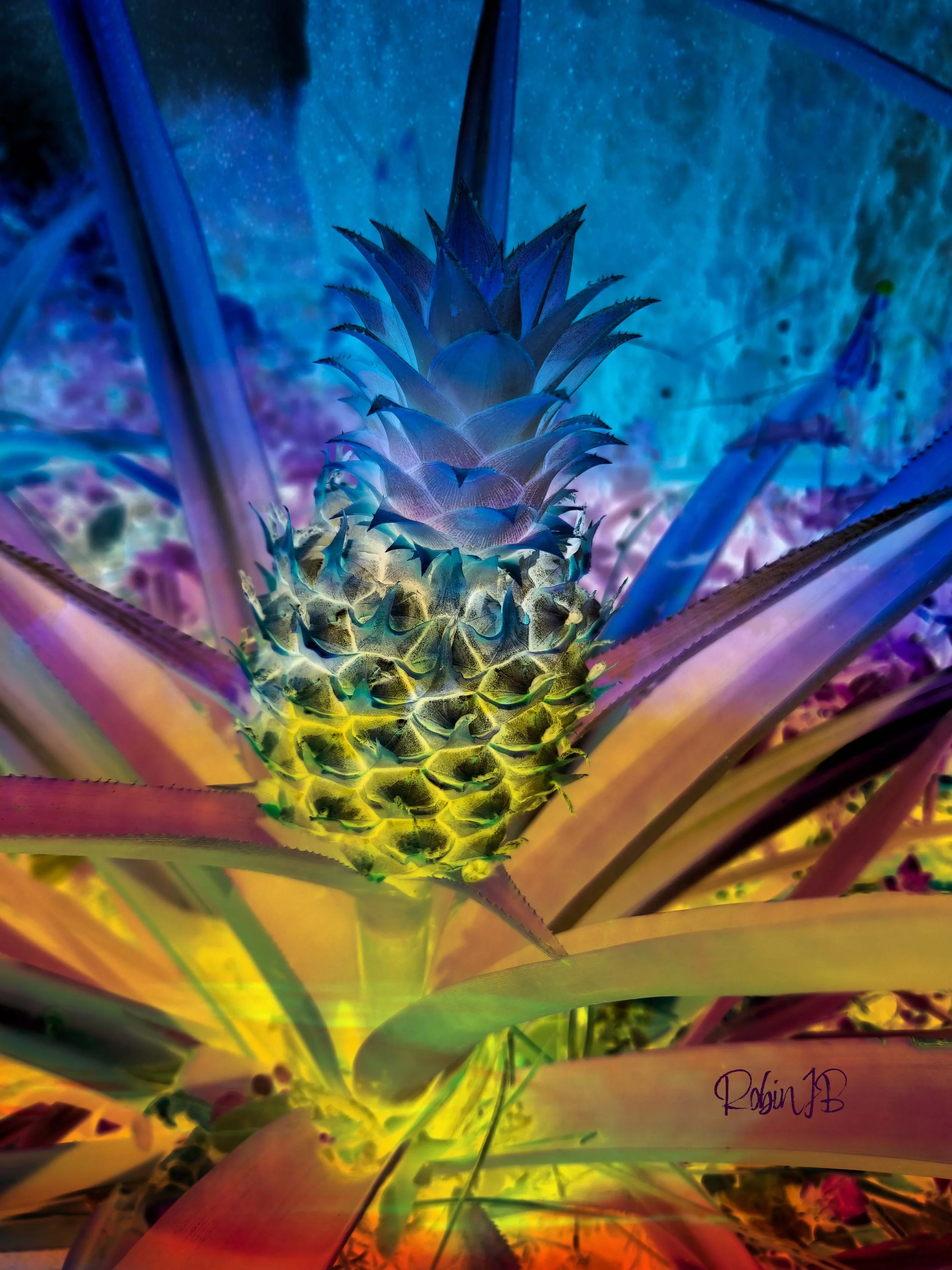 Cosmic Pineapple