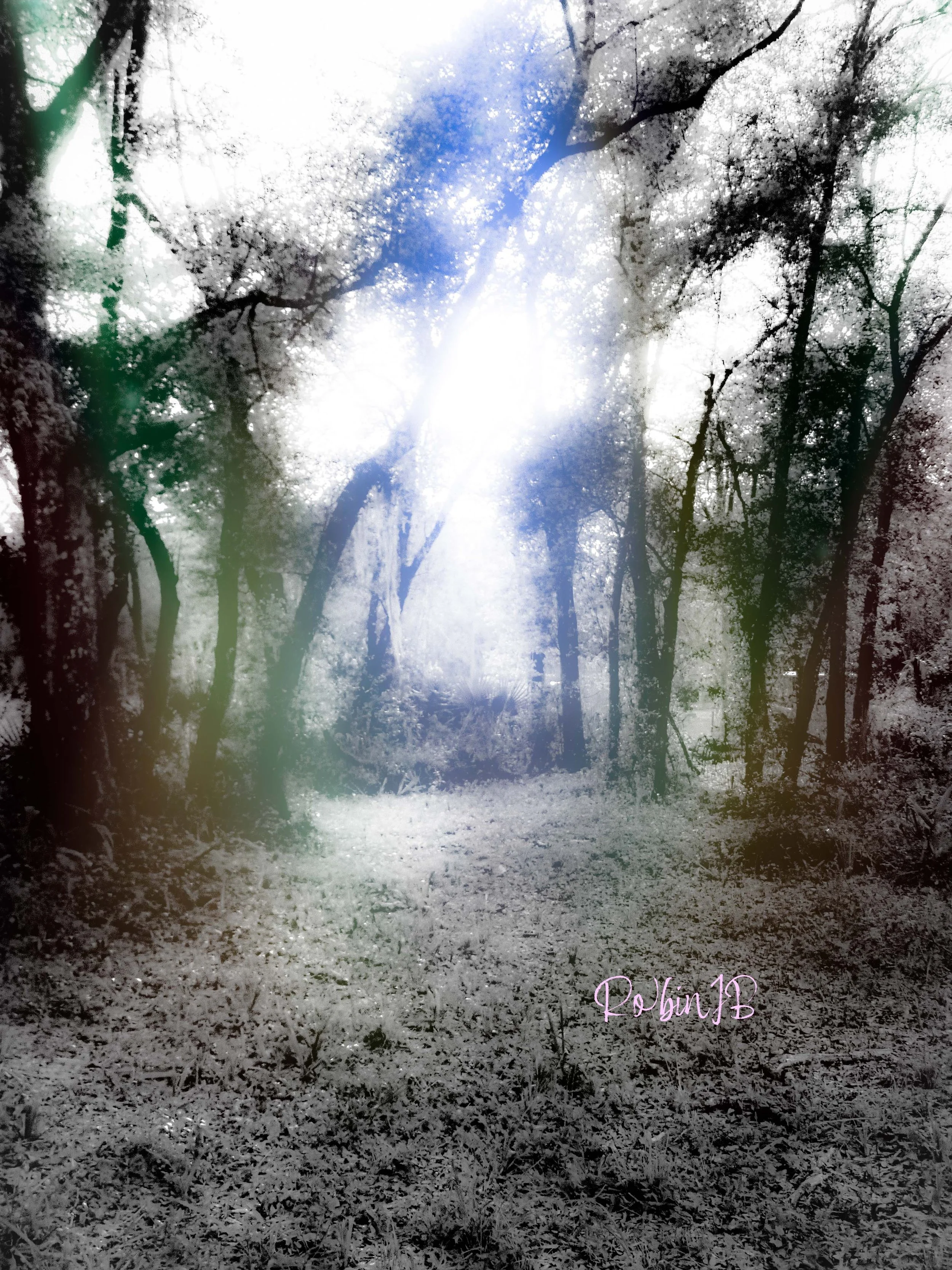 Sacred Opening