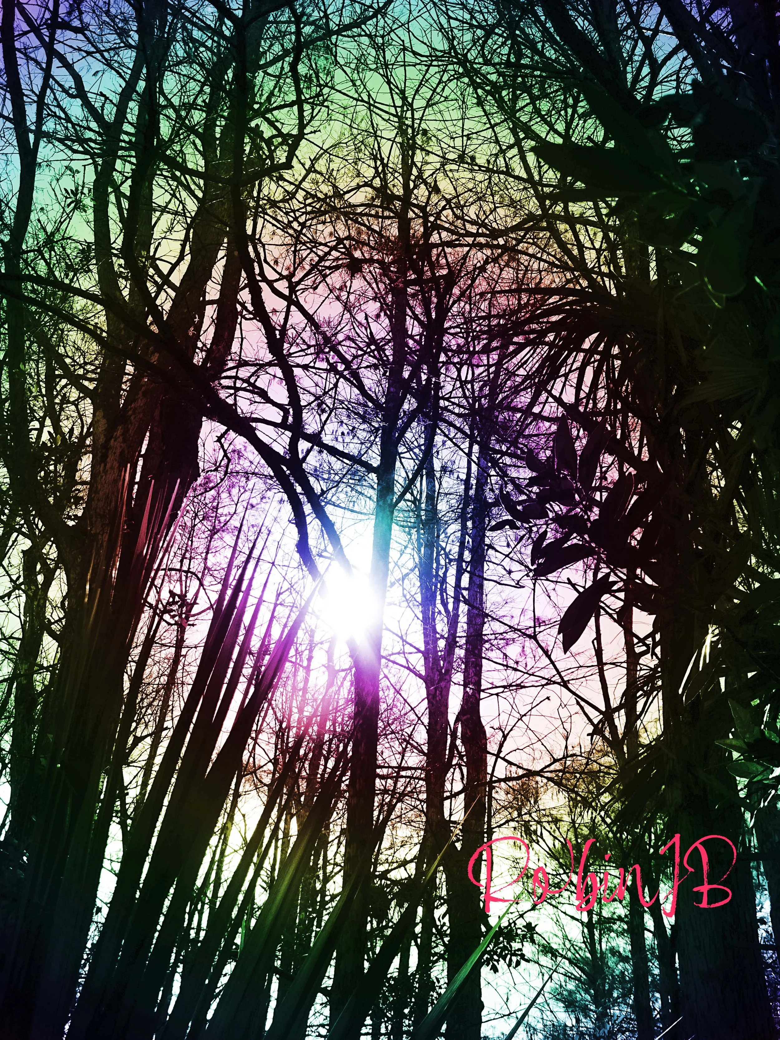 Rainbow Peace