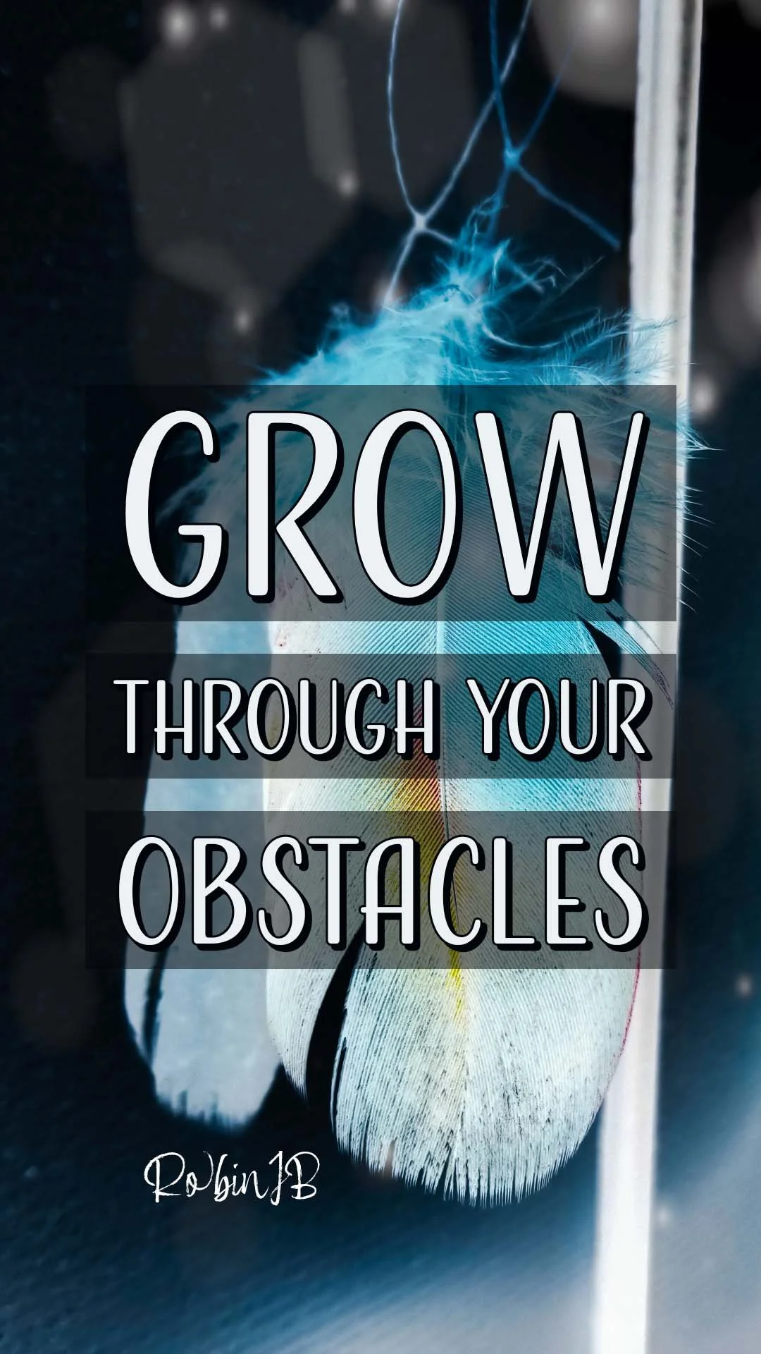 Grow Through Your Obstacles