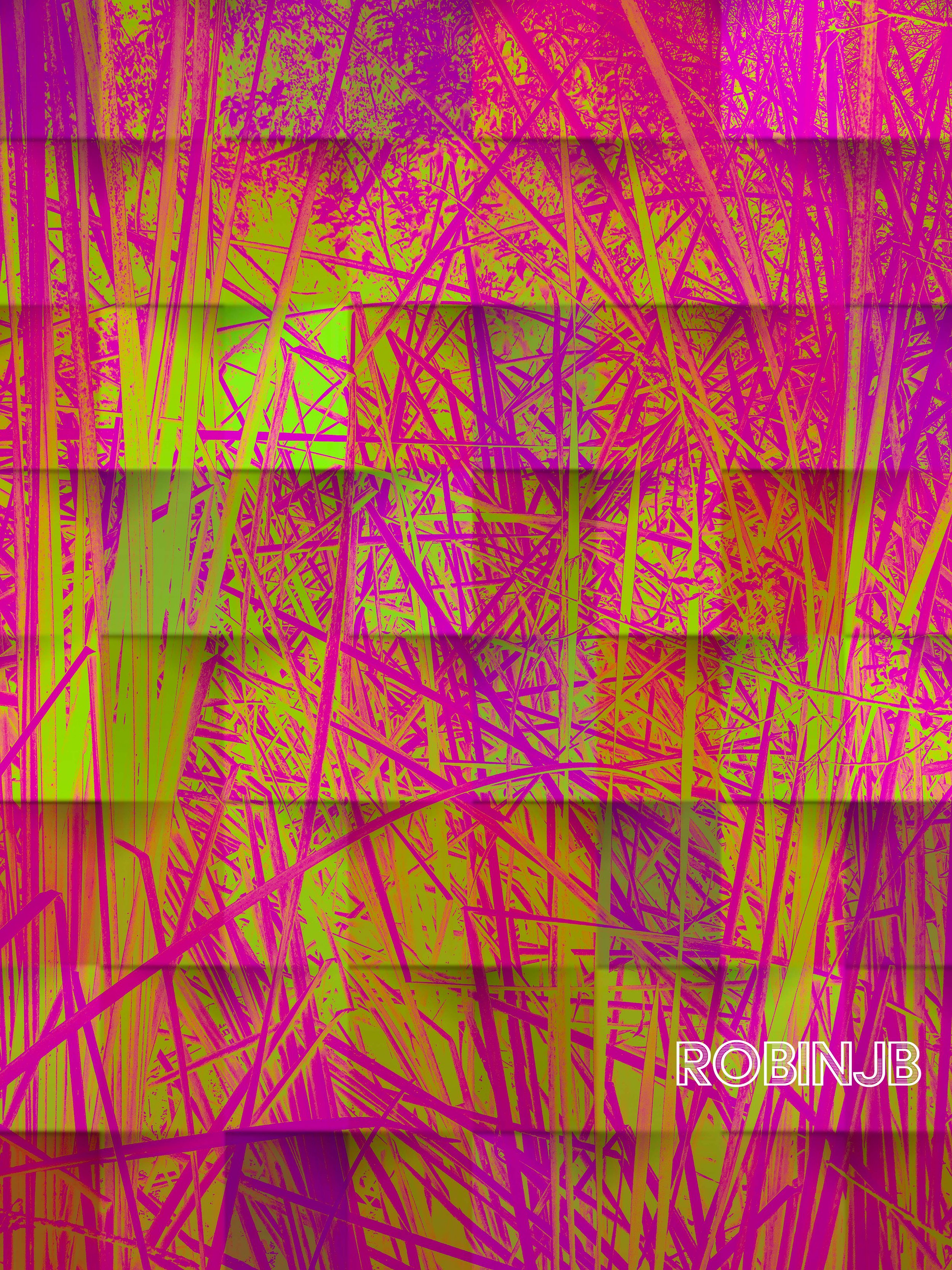 LYM-Quad