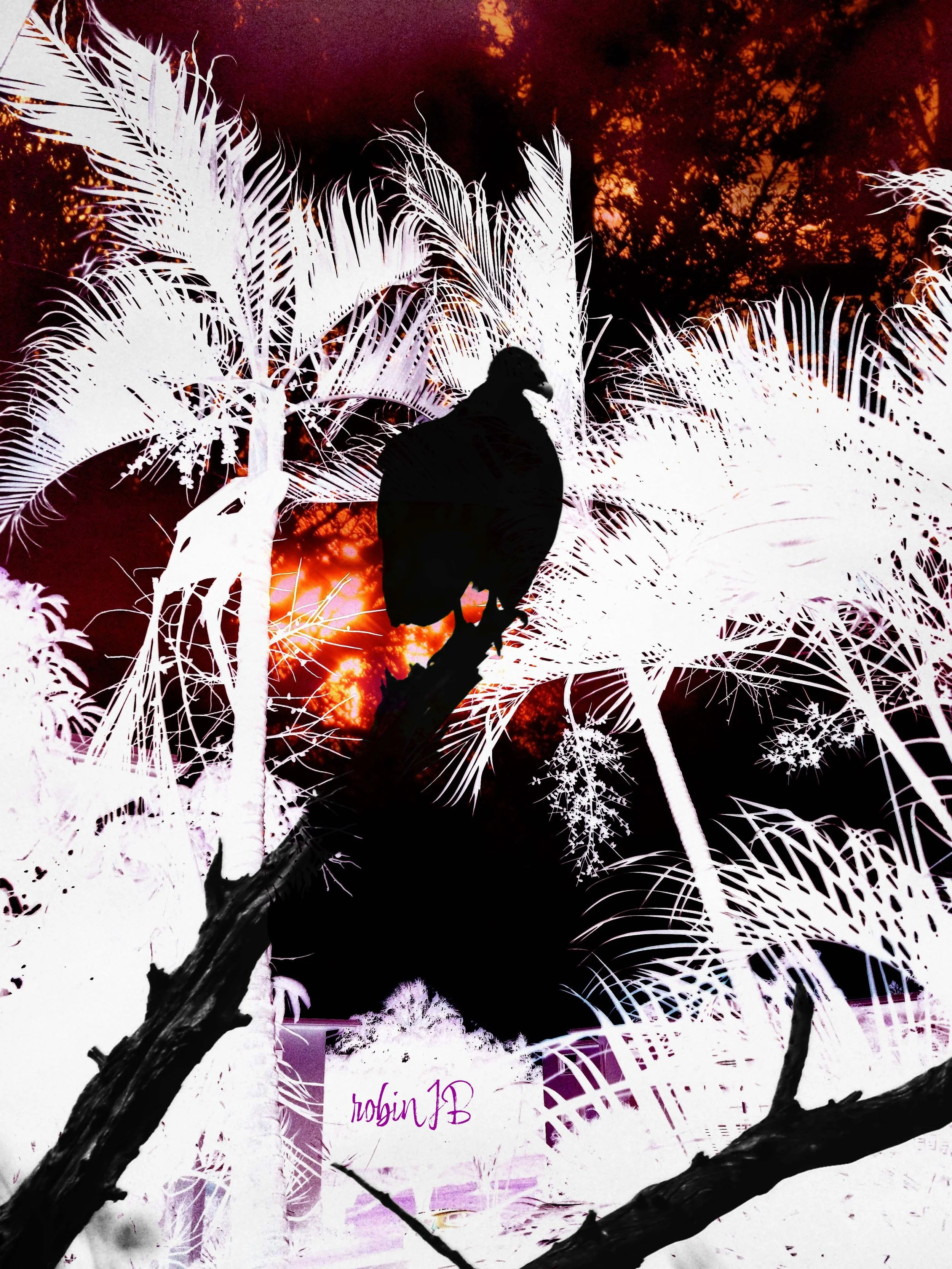 Death of Self