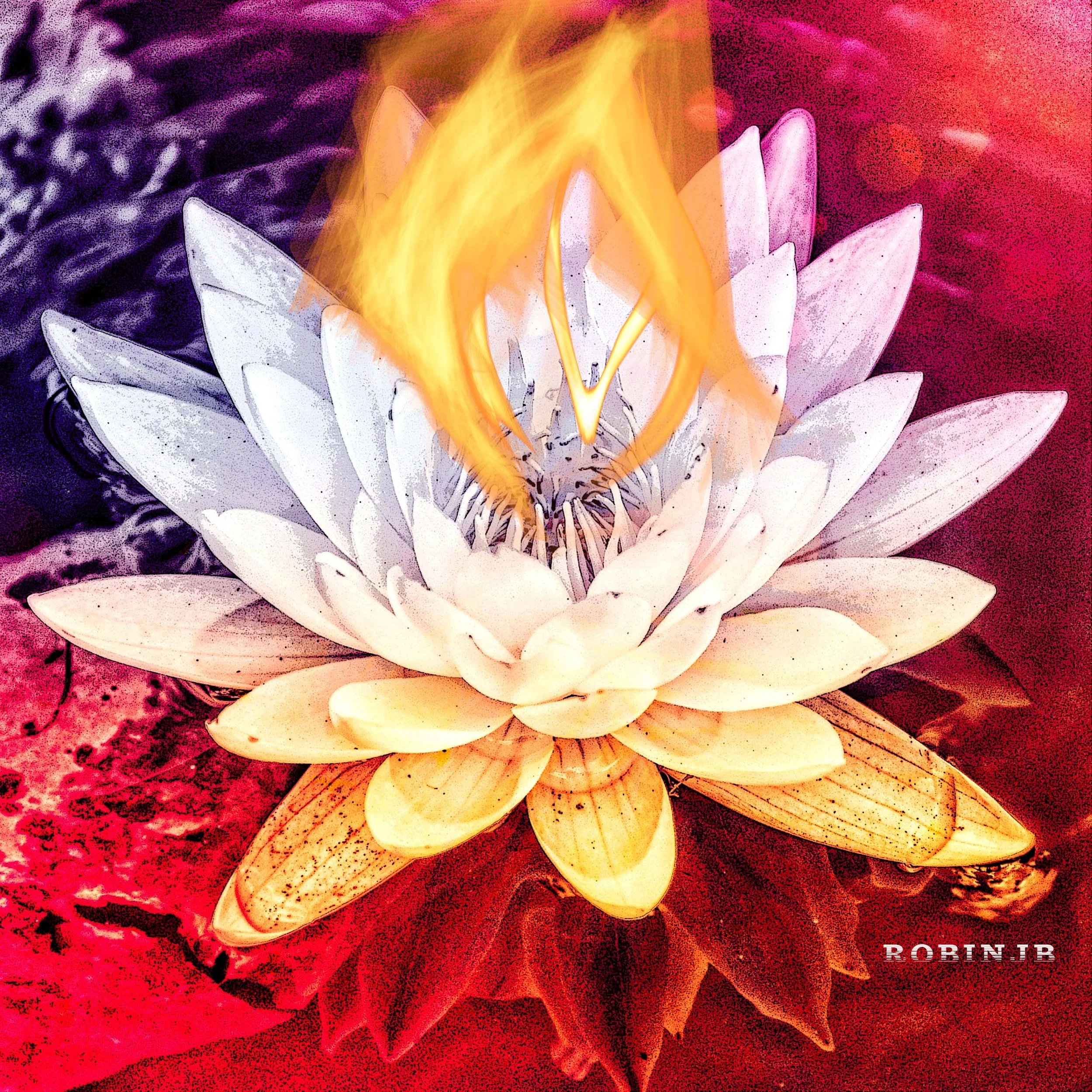Fire Flower