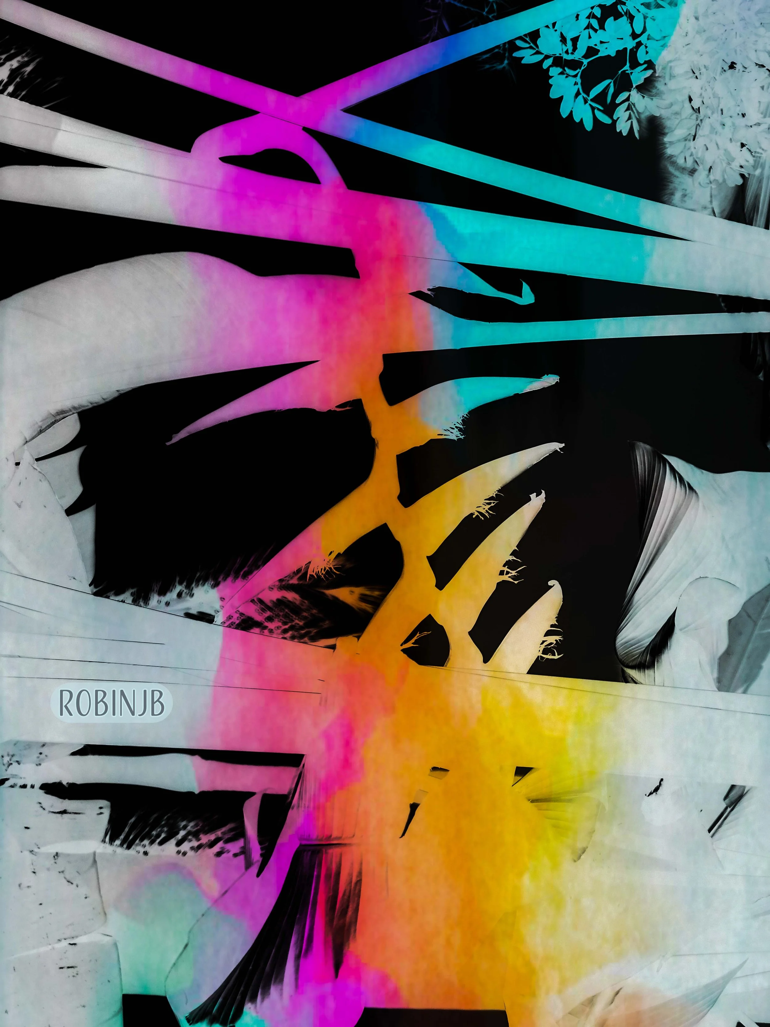 Colorful street art with black silhouette of a bird and tree branches against a vibrant sunset background of pink, orange, yellow, and blue