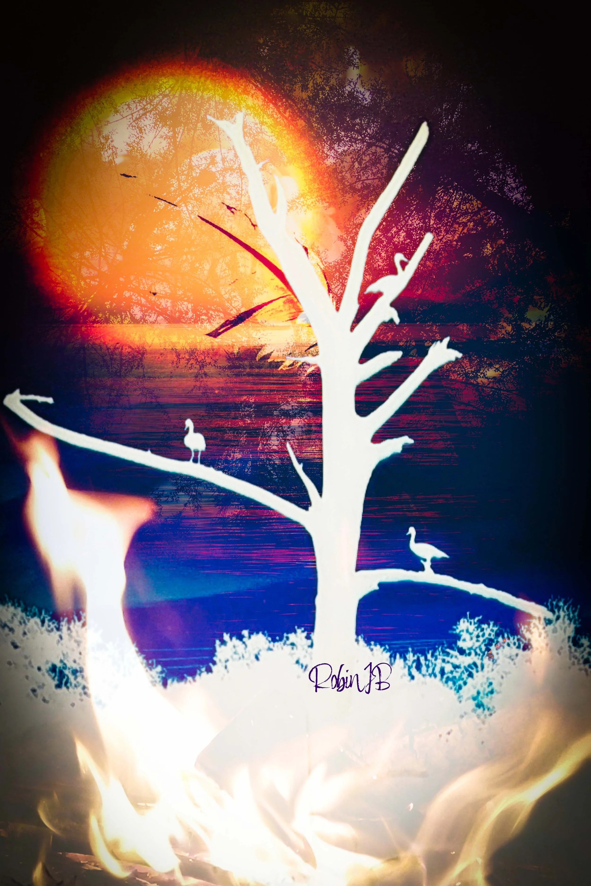 Ring of Fire