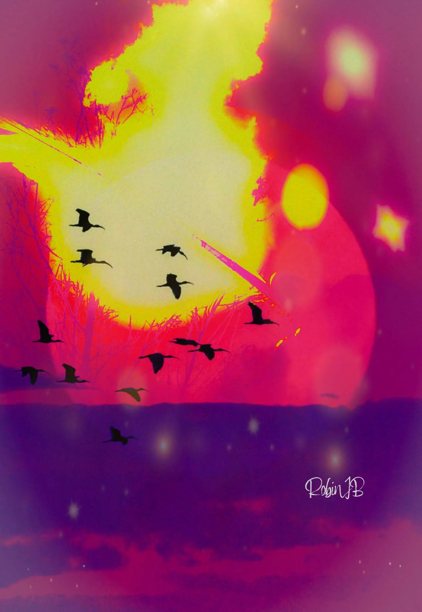 Magnificent Moments