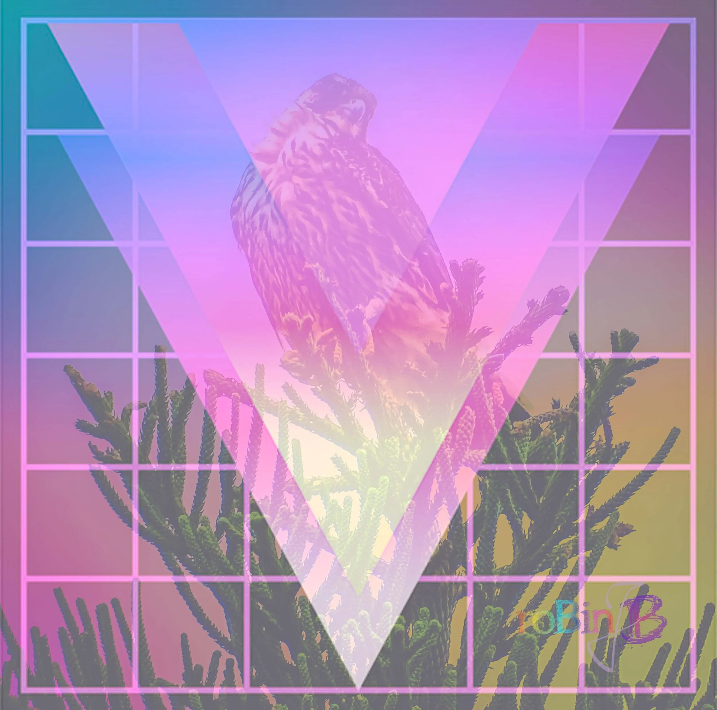 Rainbow Falcon v2