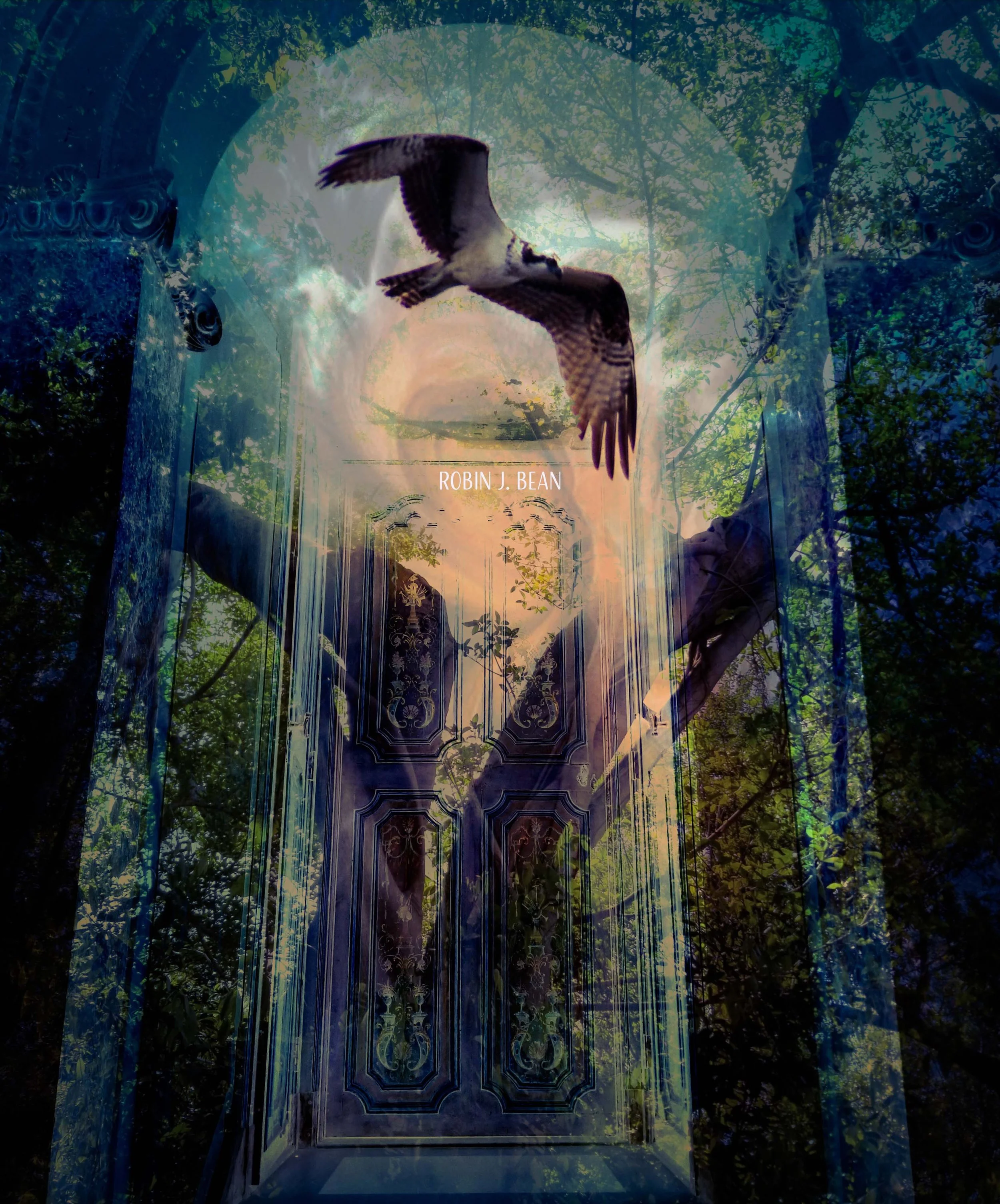 Look Within