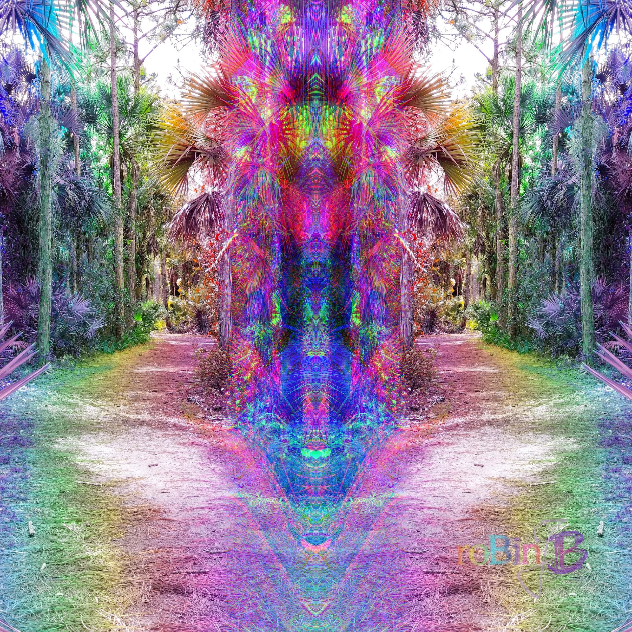 Rainbow Vortex