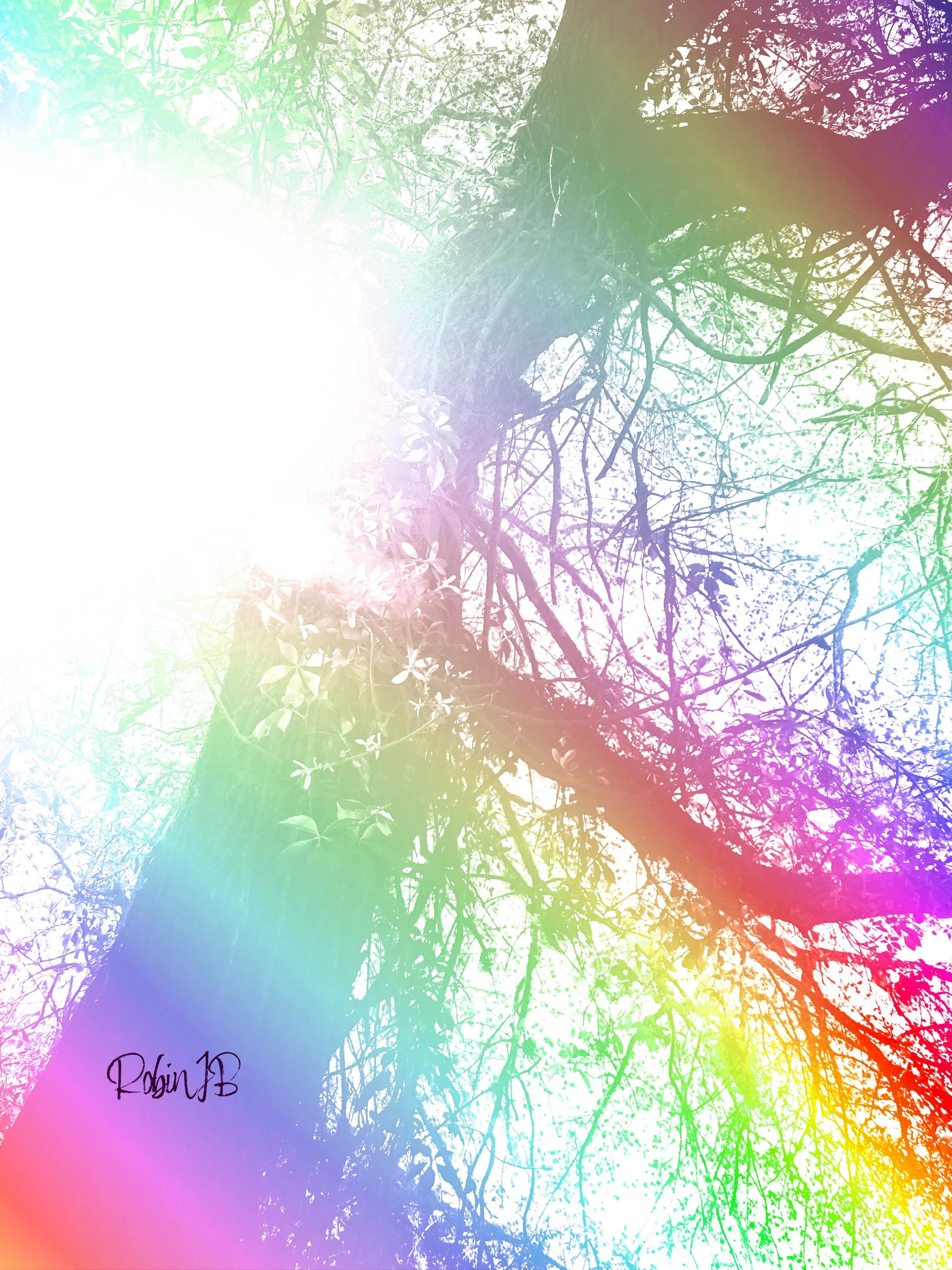 Empowered Rainbow Tree