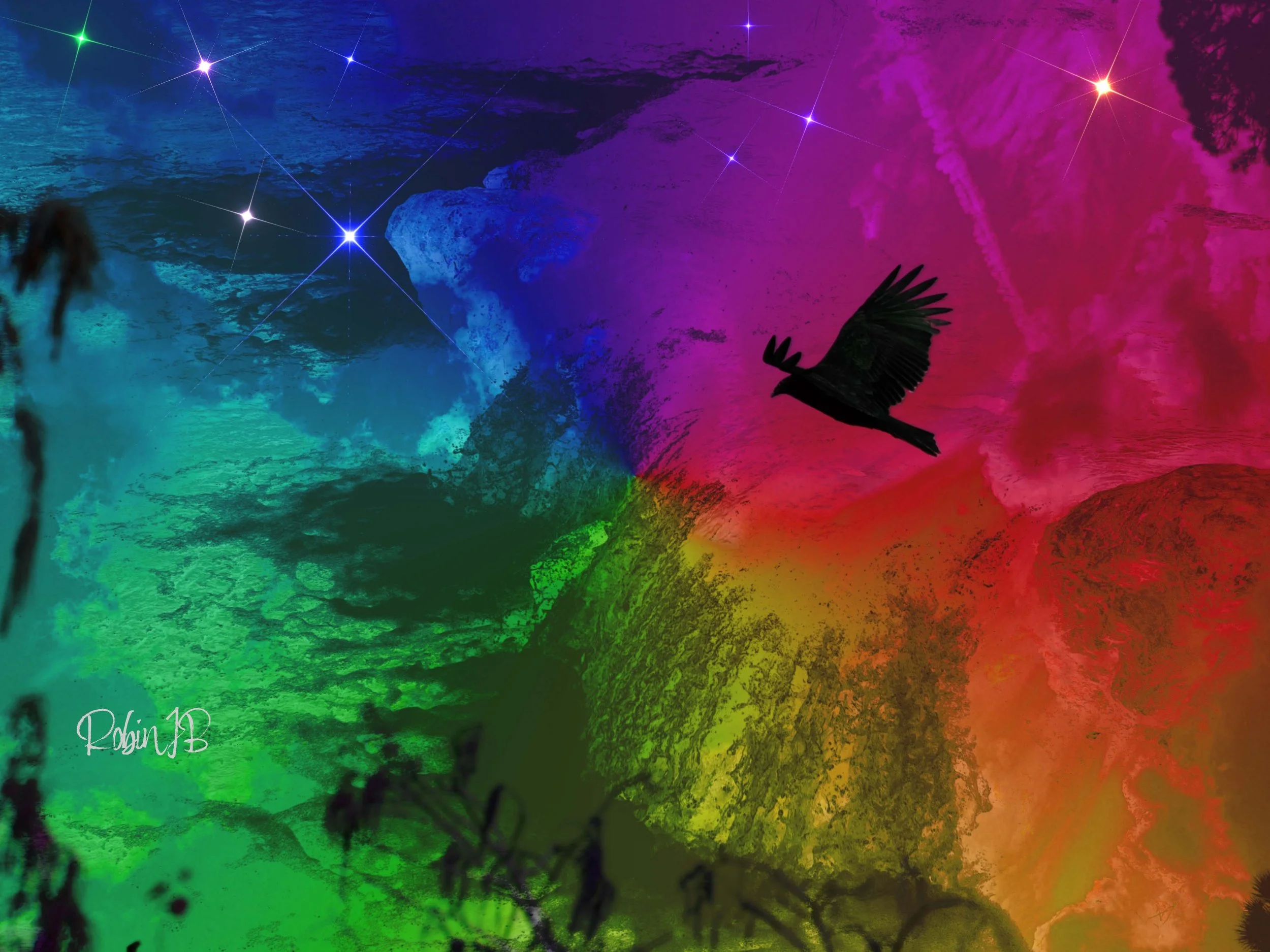 Rainbow Reform