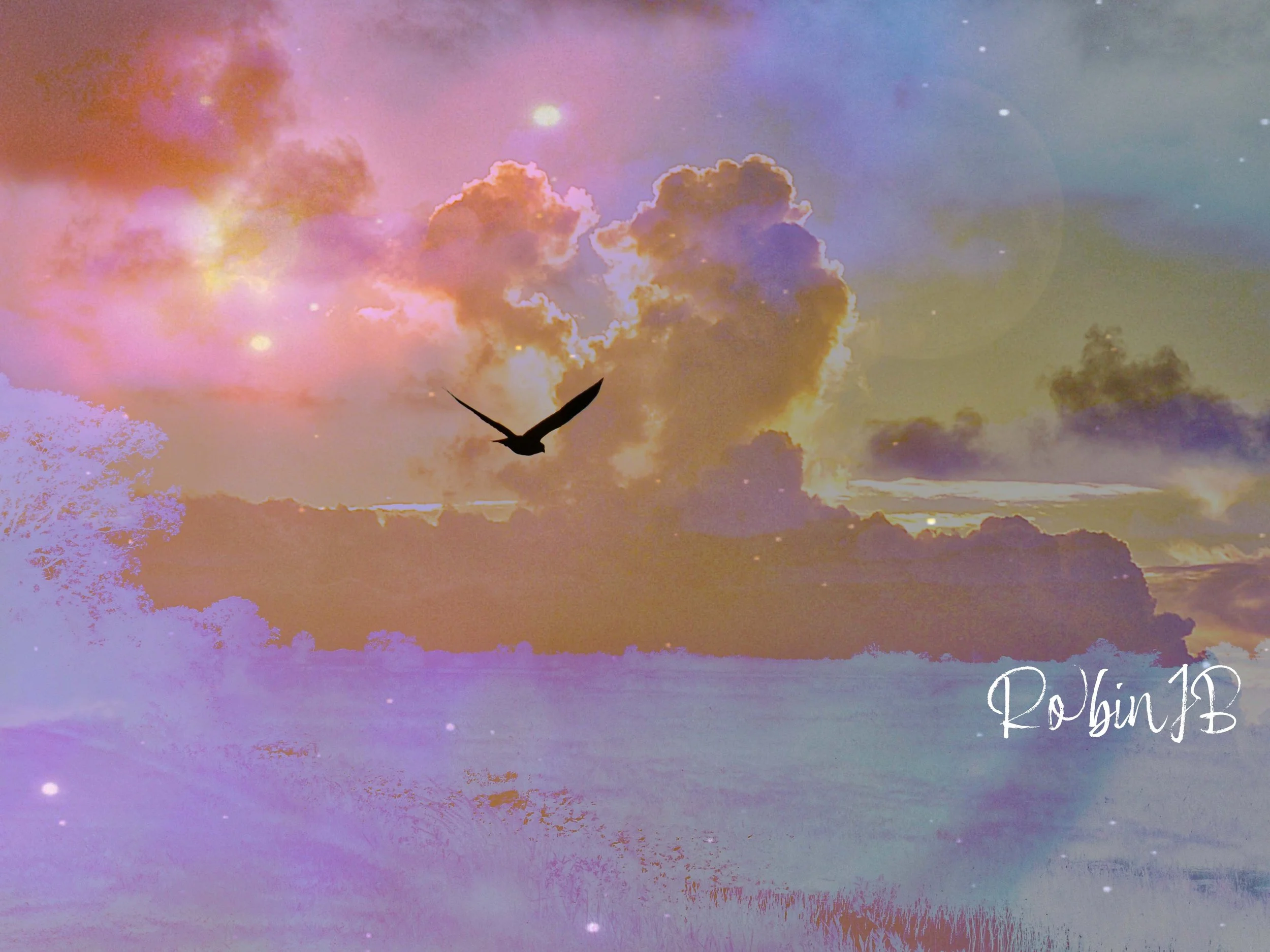Love From A Distance