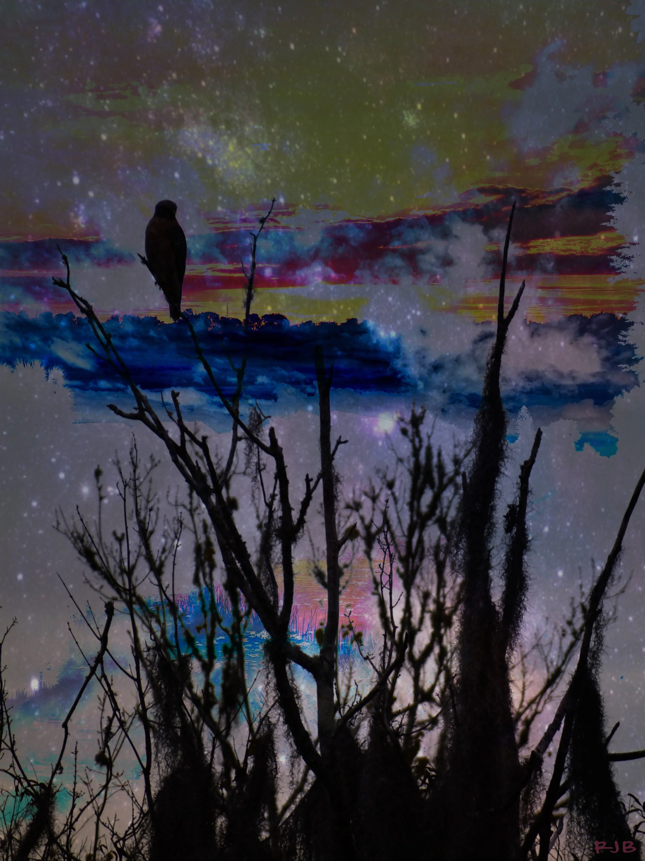 Observing