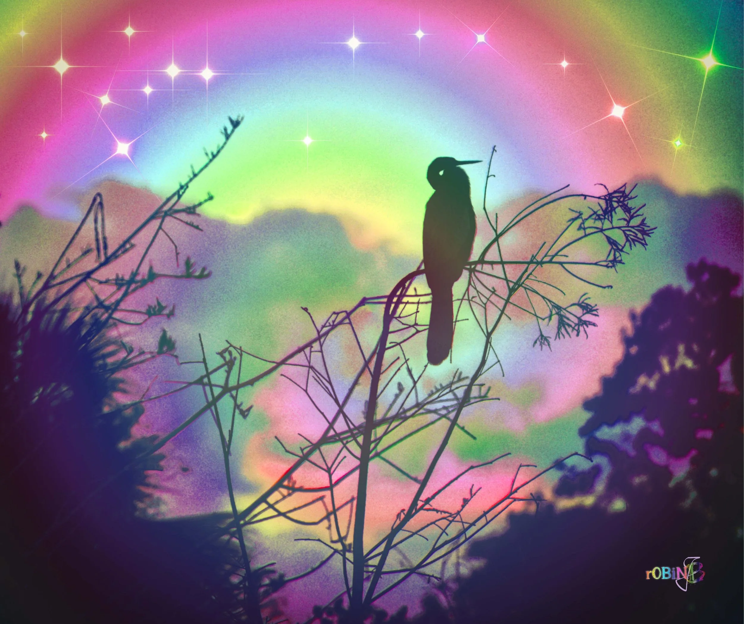 Bird Digital Art