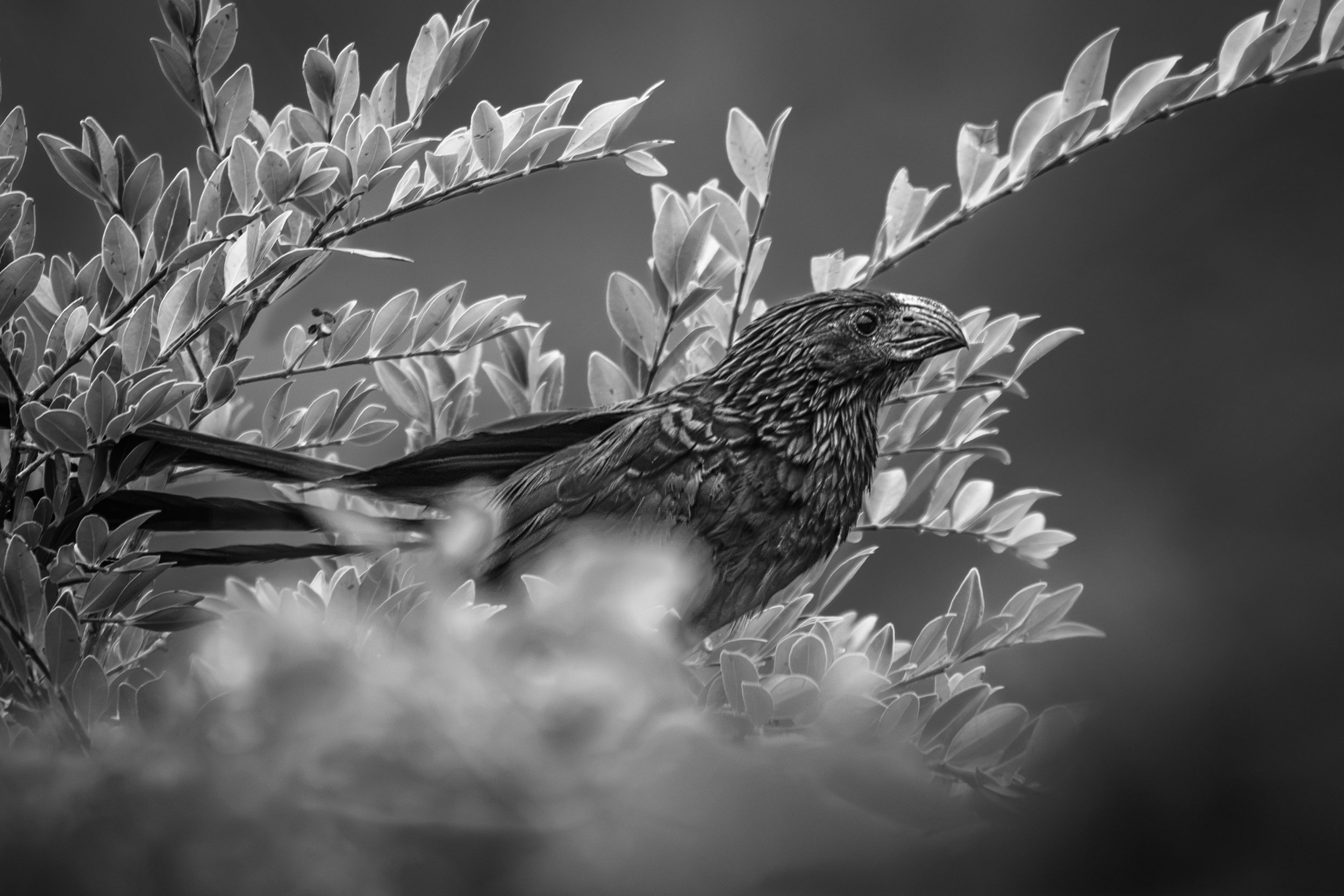 0-04web-GB-AniFramen_DSC1624-1.jpg