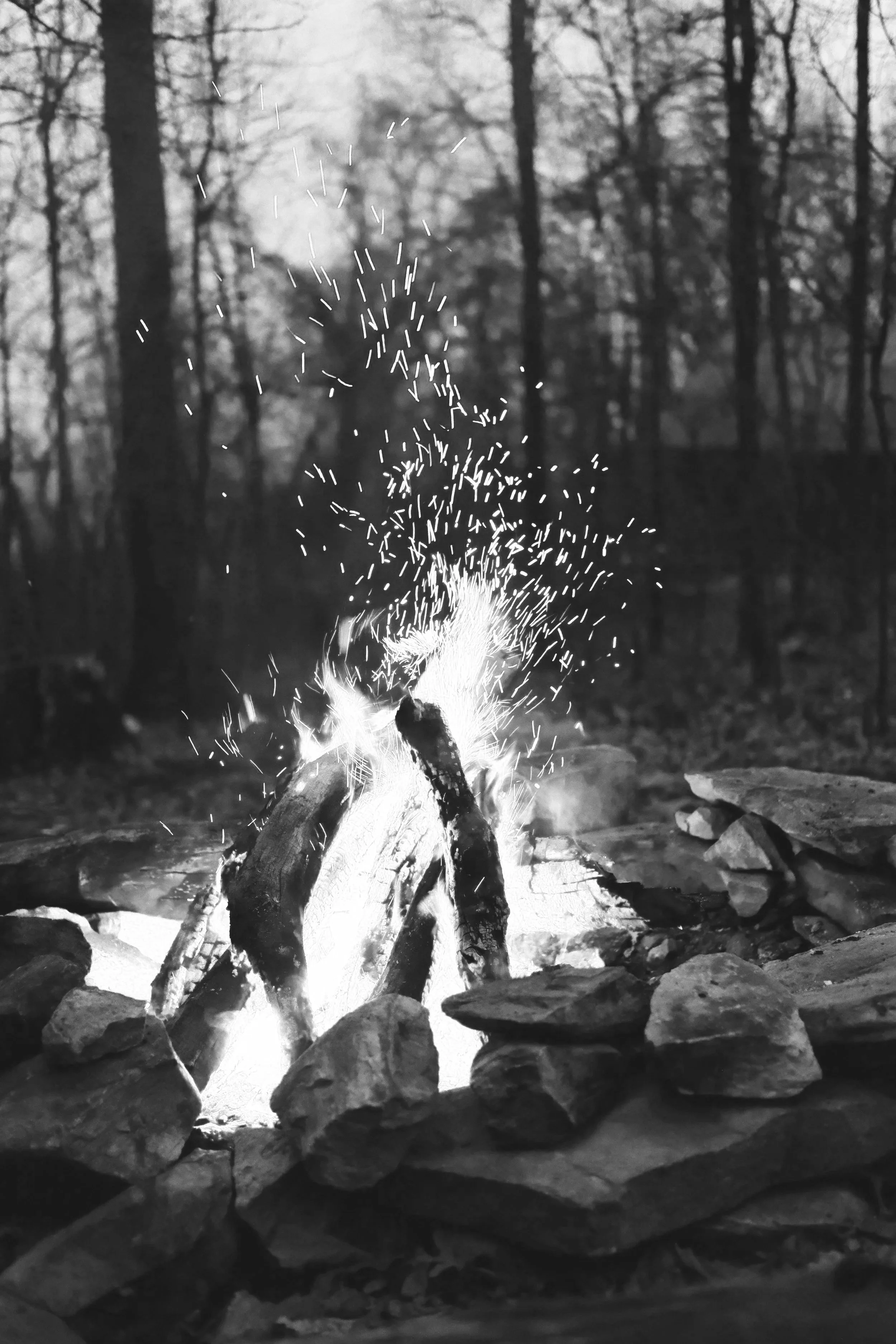 The Fireplace and Gentrification