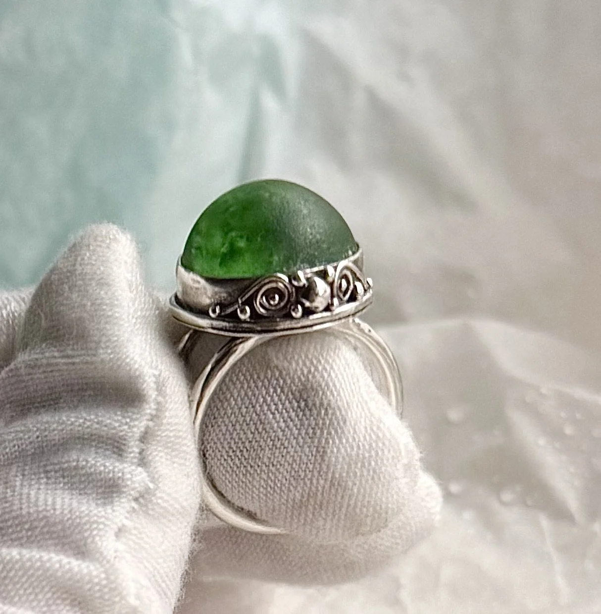 IMG_2446.jpeg