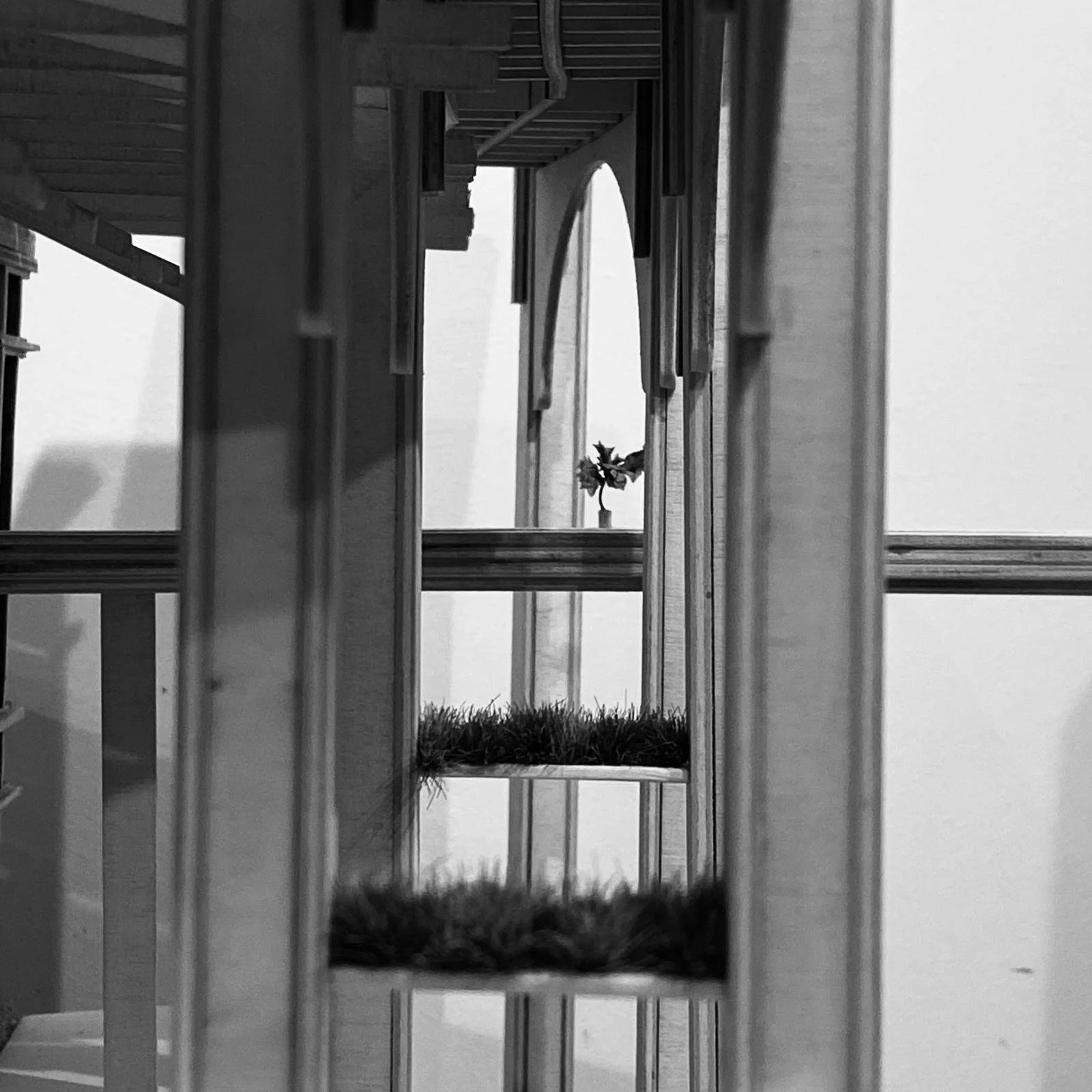 BA3 Design Thesis Model  |  The House of the Unburdened