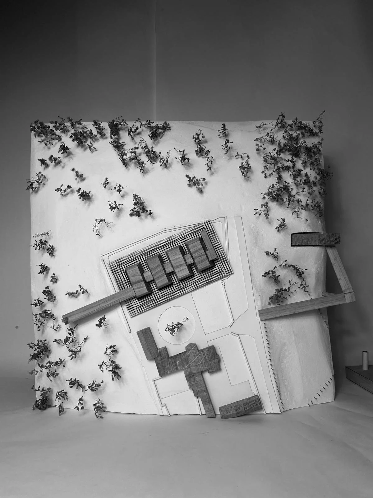 BA3 Semester 1 Concept Model  |  The House of the Unburdened at 1:250