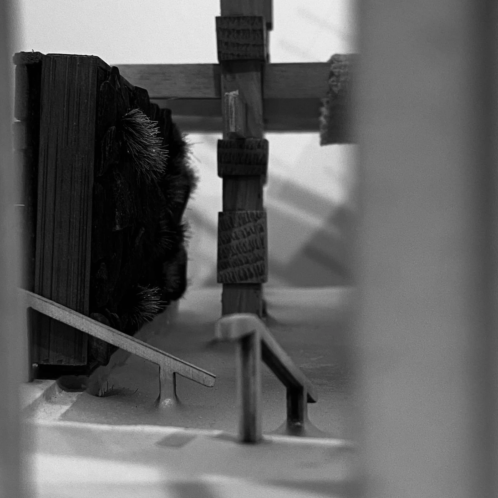 BA3 Design Thesis Model  |  The House of the Unburdened