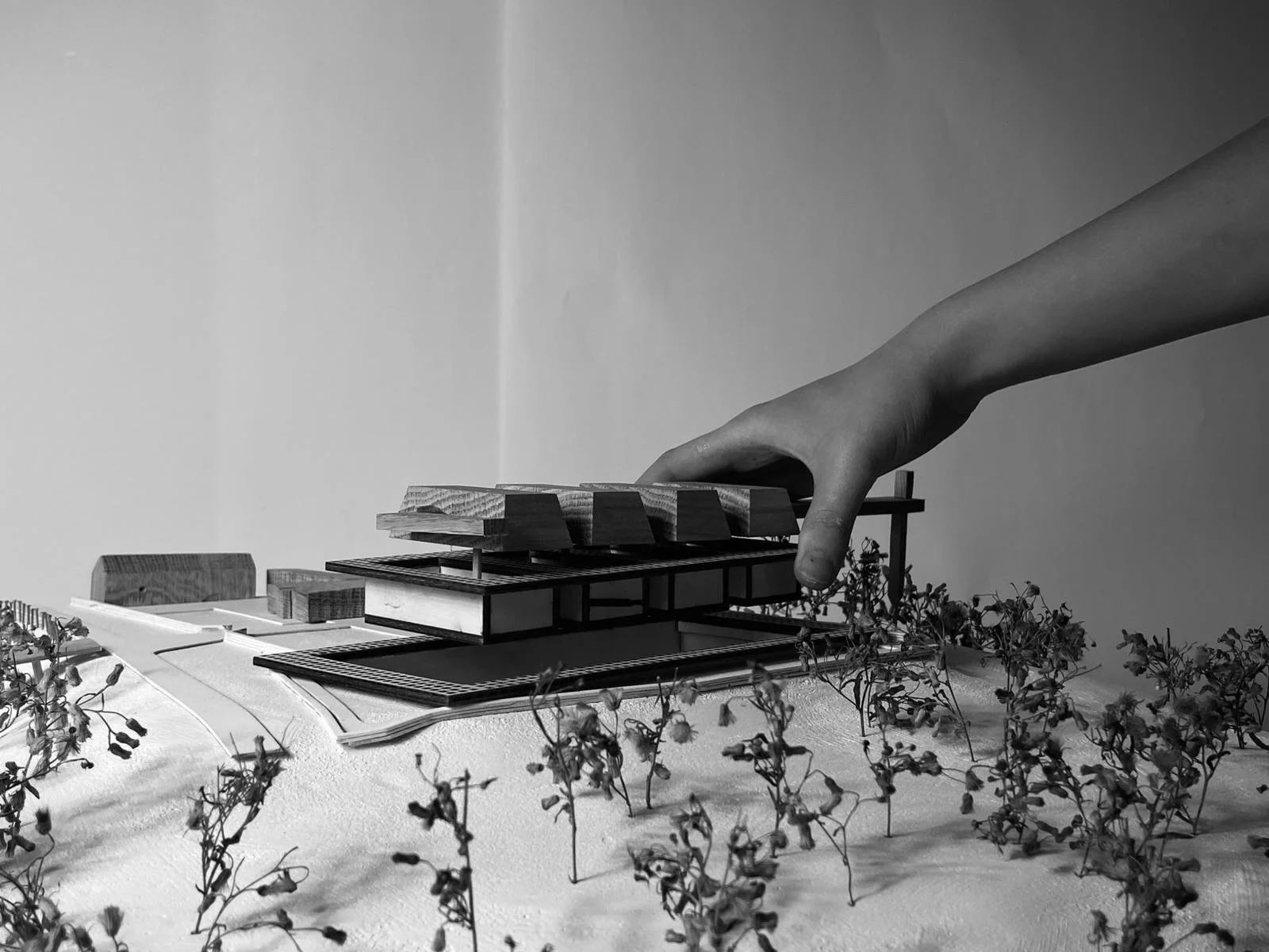 BA3 Semester 1 Concept Model  |  The House of the Unburdened at 1:250