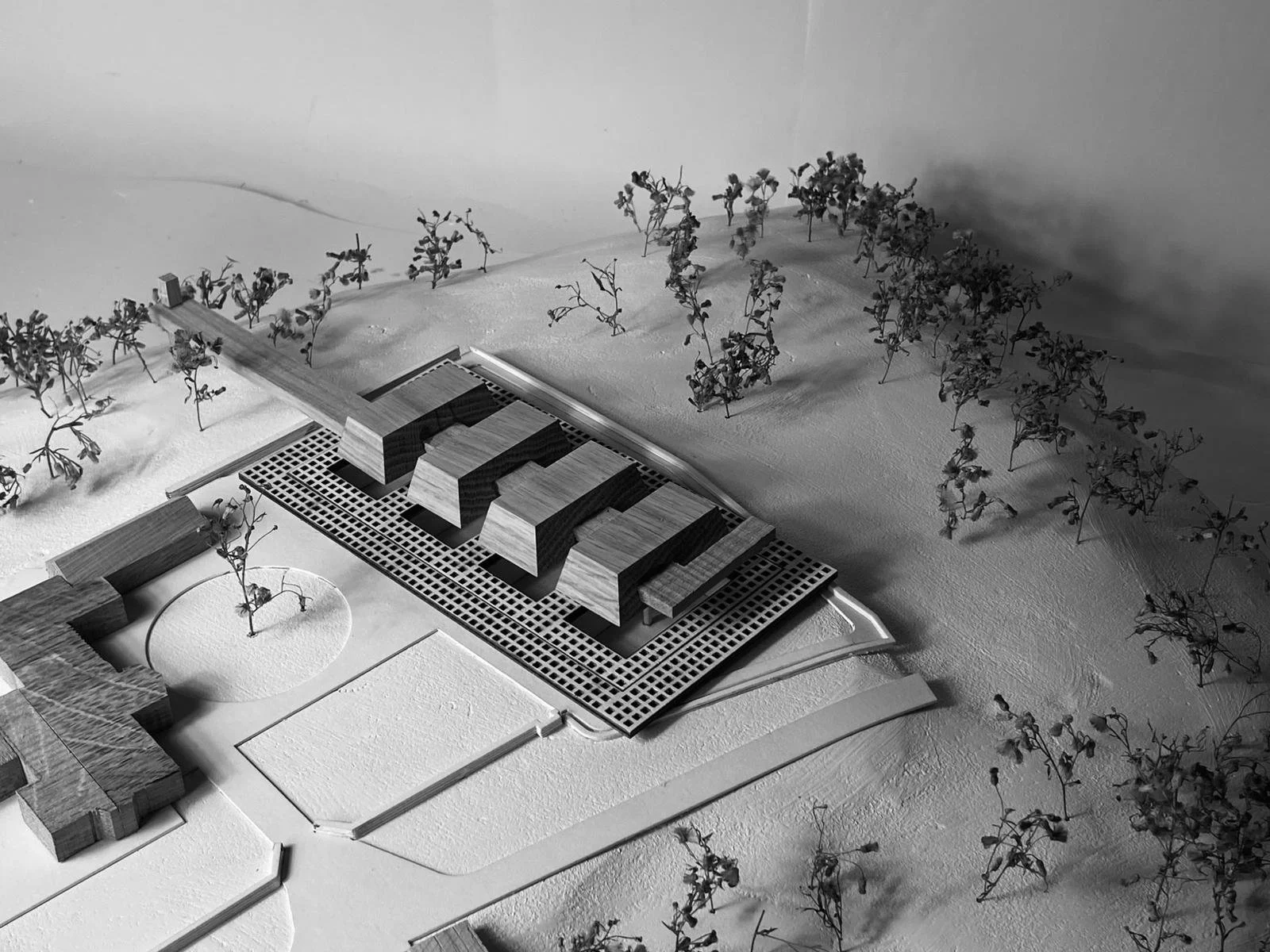 BA3 Semester 1 Concept Model  |  The House of the Unburdened at 1:250