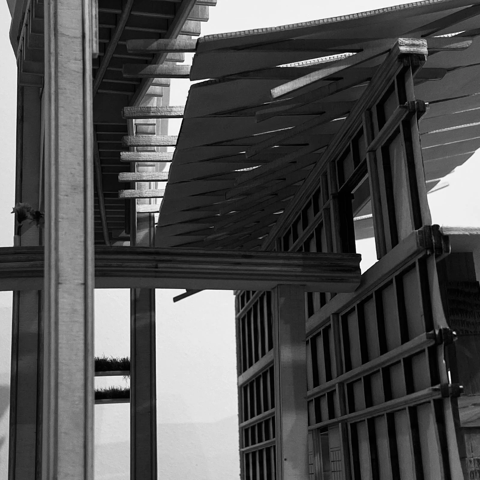 BA3 Design Thesis Model  |  The House of the Unburdened