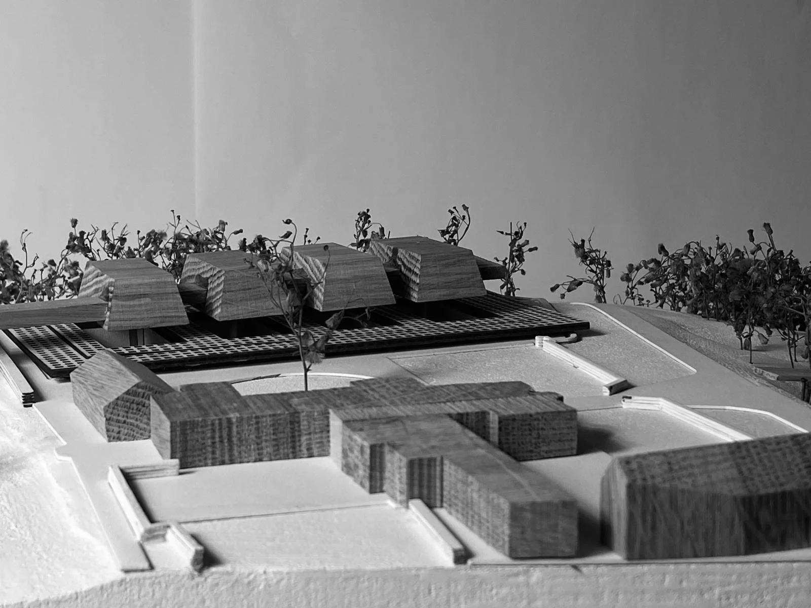 BA3 Semester 1 Concept Model  |  The House of the Unburdened at 1:250