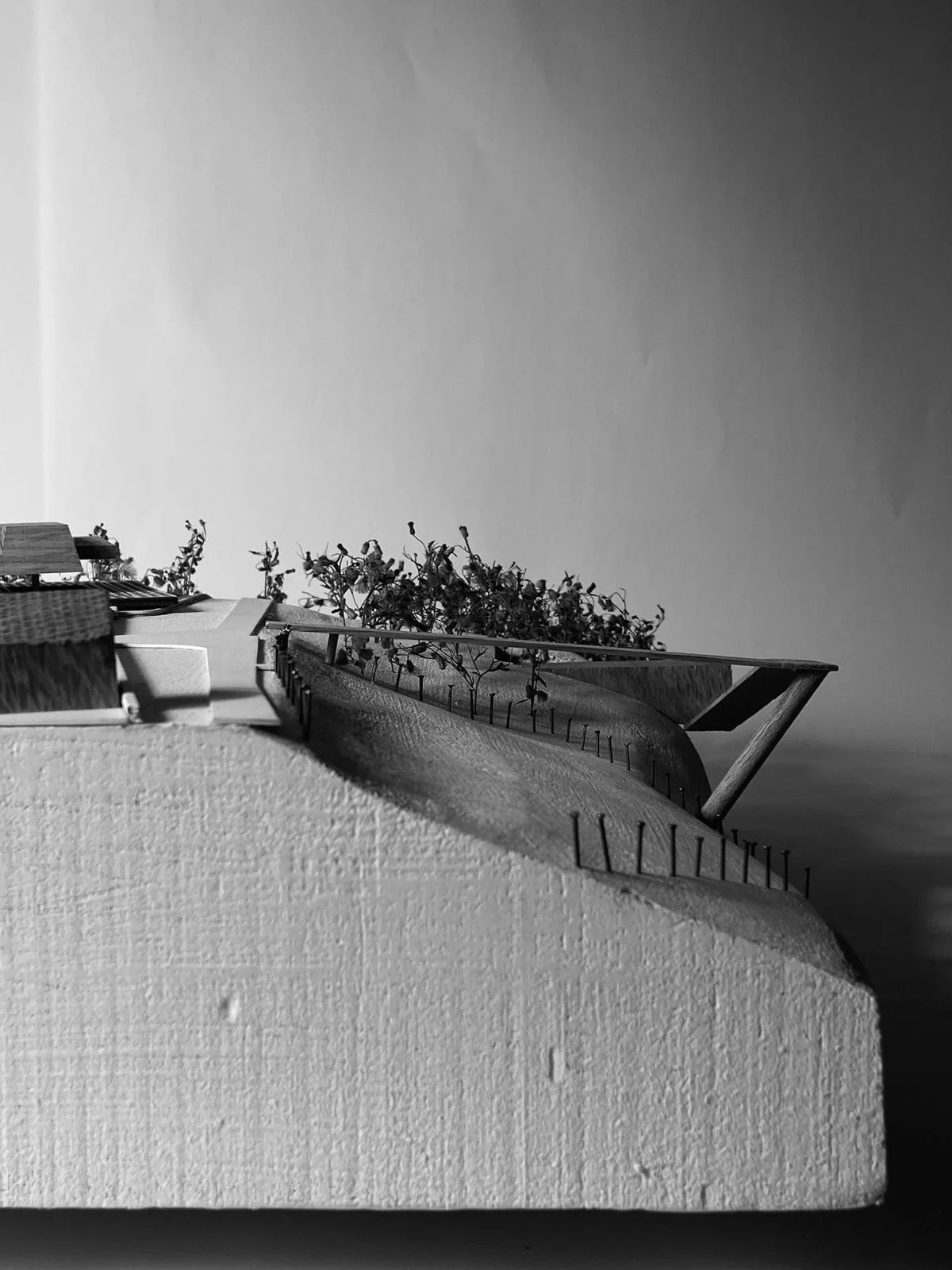 BA3 Semester 1 Concept Model  |  The House of the Unburdened at 1:250