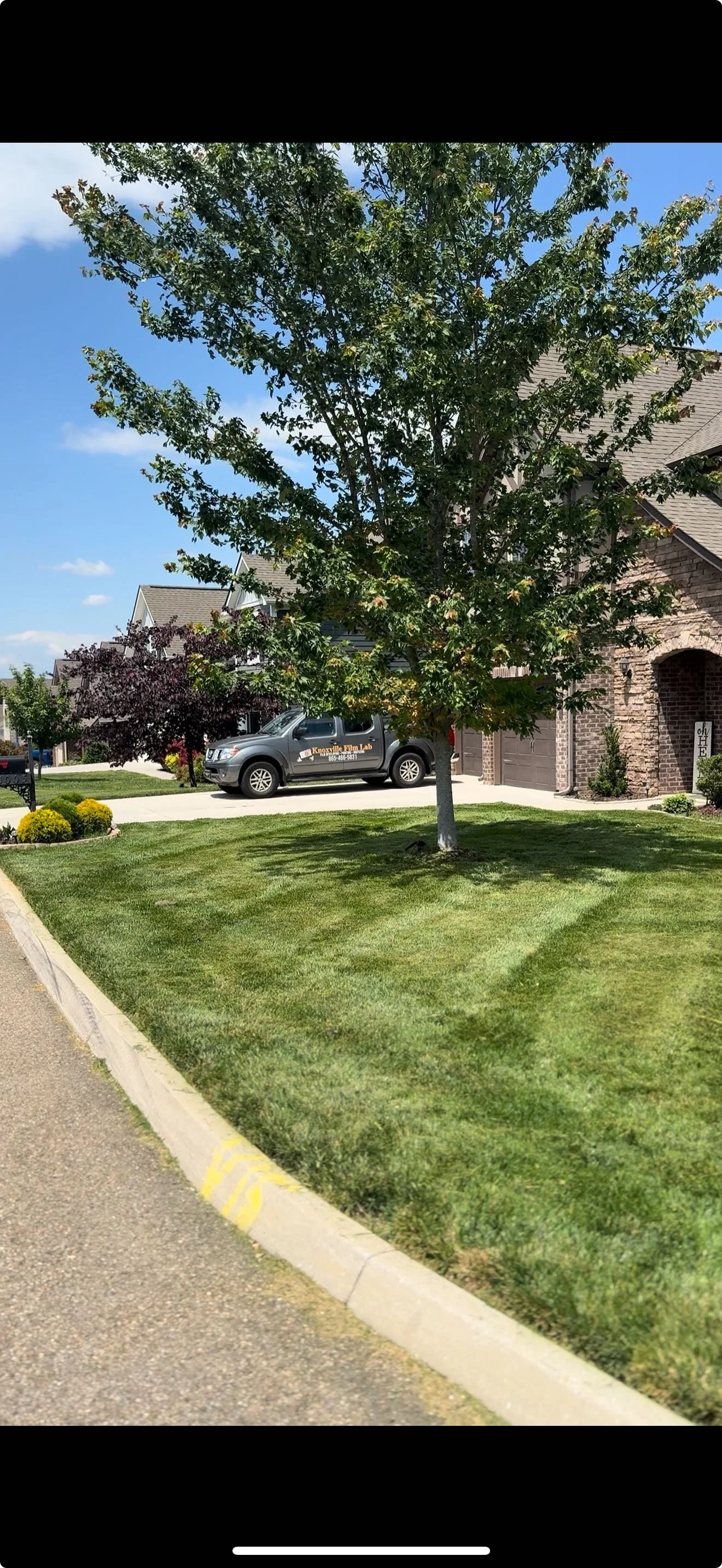 Lawn Care
