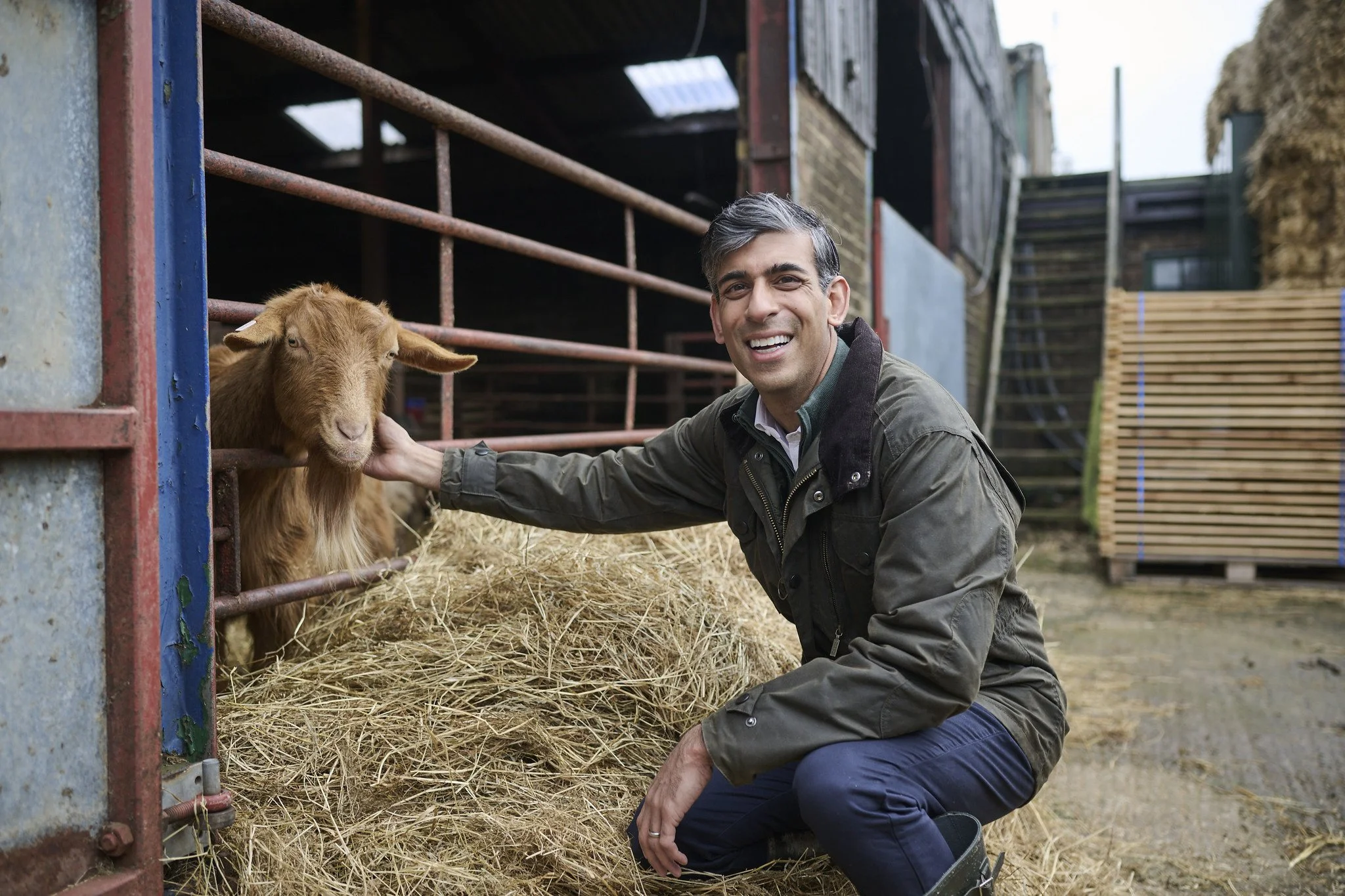 A man with gray hair and a dark jacket smiling while petting a brown goat inside a pen at a farm. The background includes metal fencing, hay bales, and farm structures.