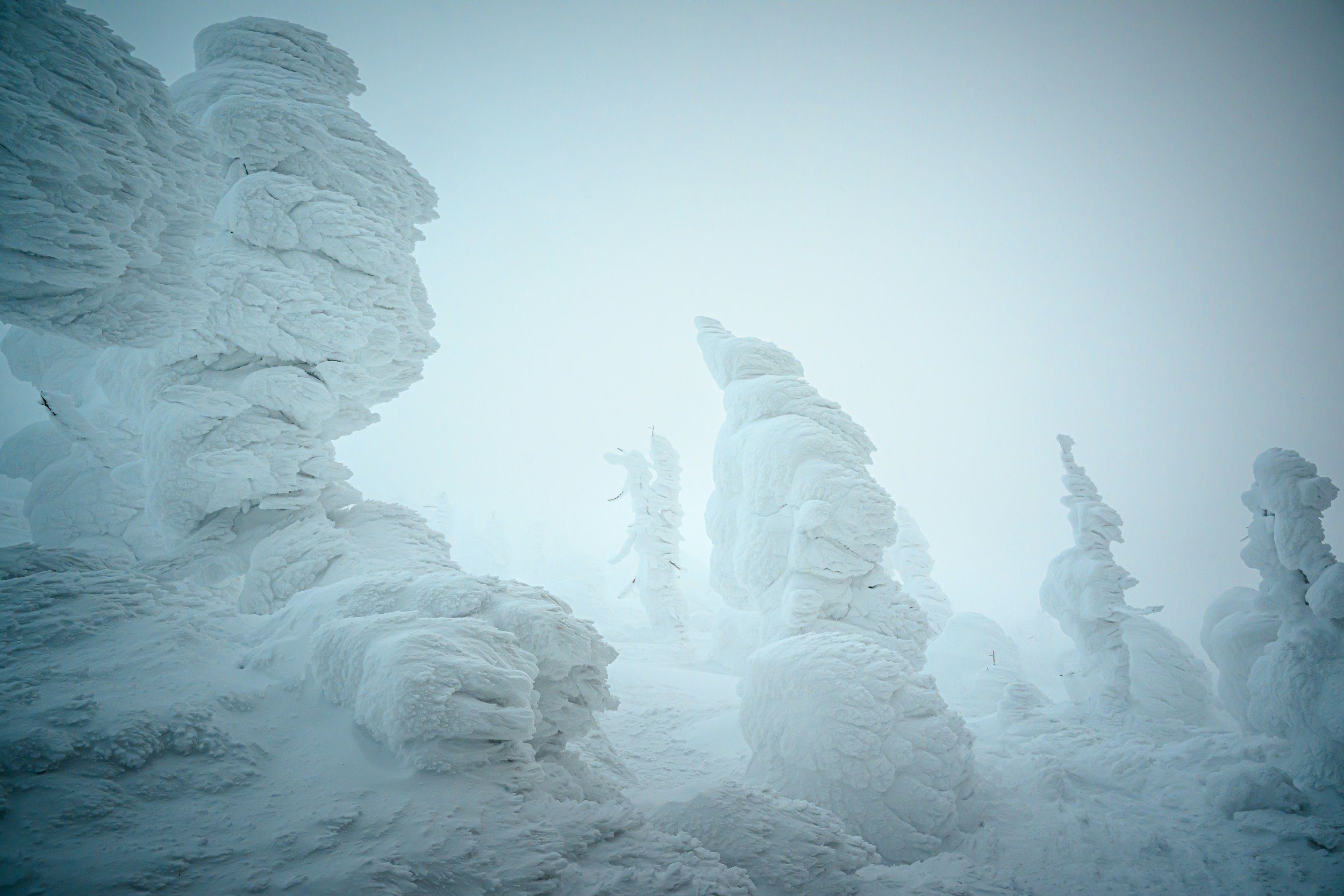 Hidden Tohoku Snow Country