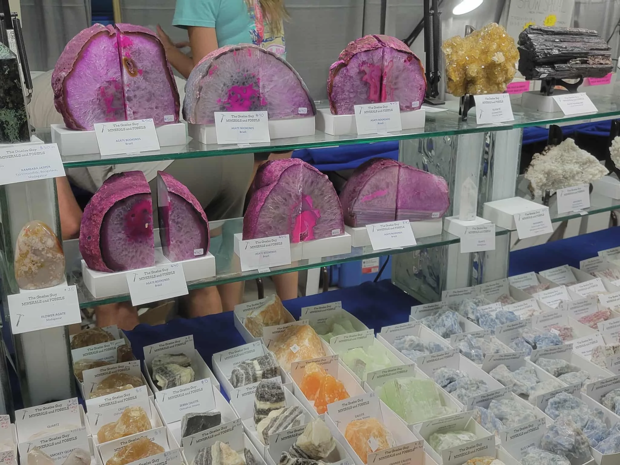 Display of various mineral and fossil specimens, including geodes, on a glass shelf at a store or exhibit. Each specimen has a label with its name and price.