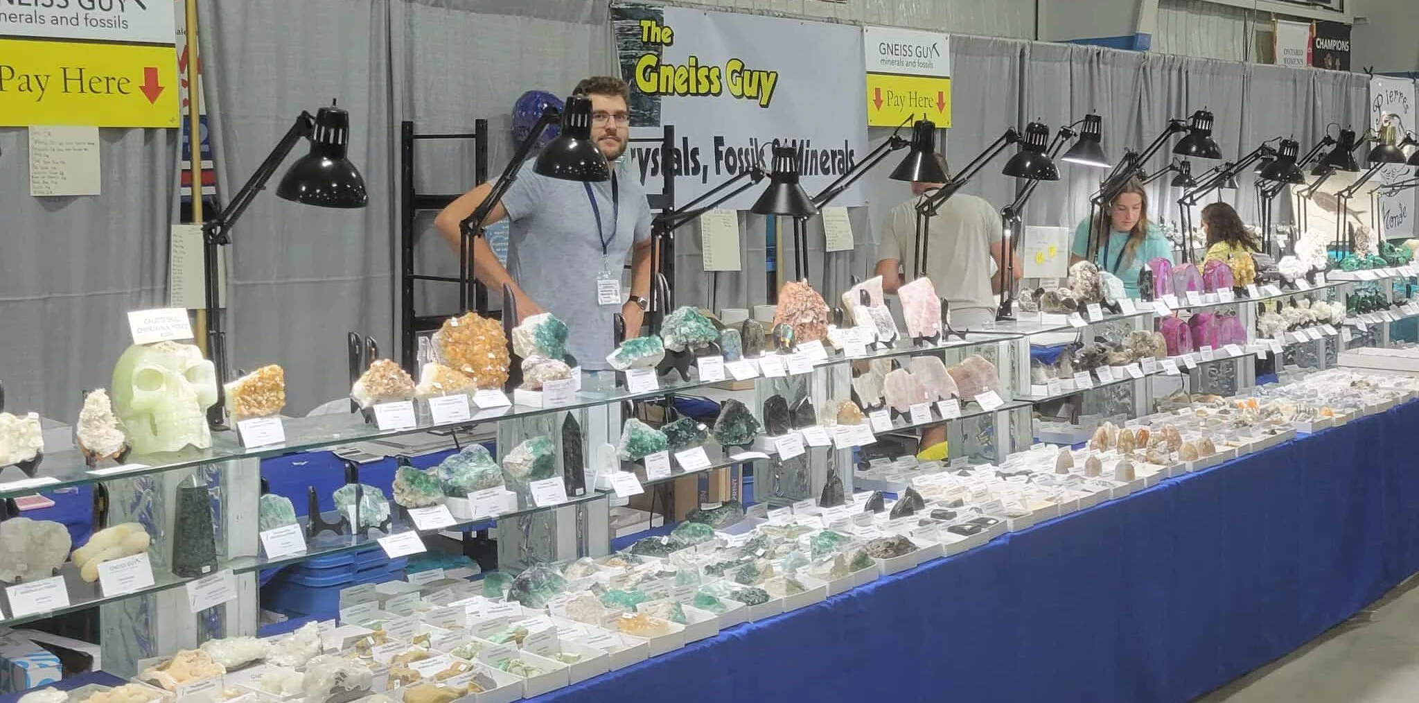A convention booth named 'The Gneiss Guy' displaying various minerals and fossils on glass shelves with price tags, and people browsing and selling rocks.