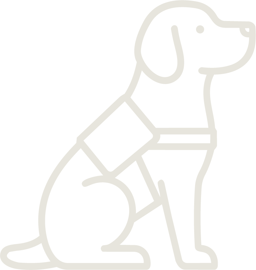 Outline drawing of a seated dog with a bandage on its front leg.