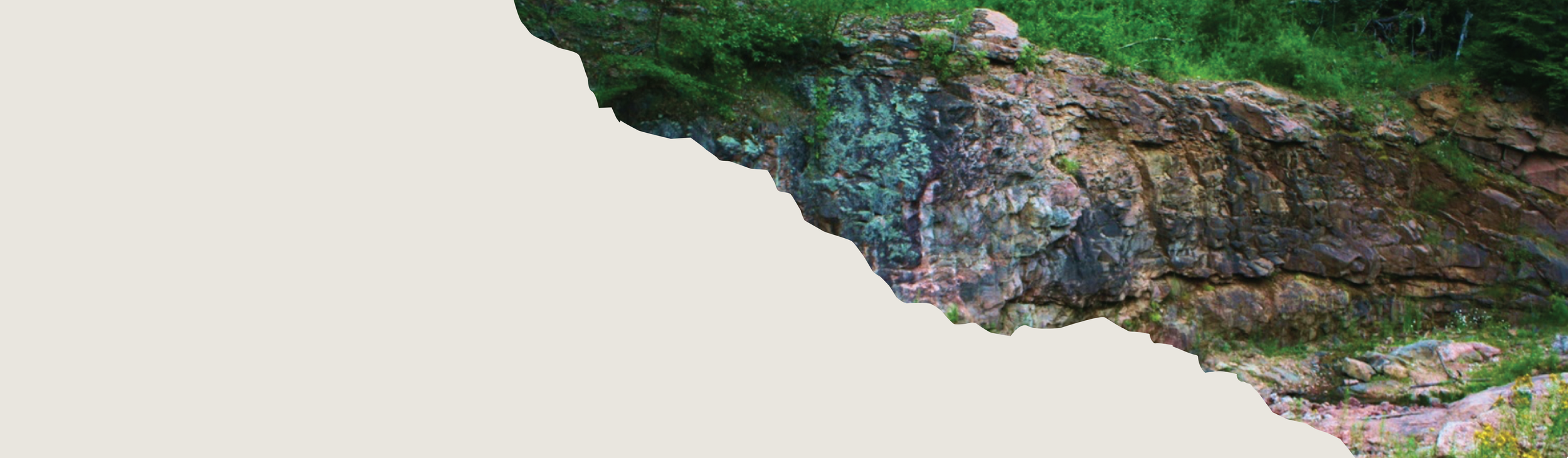 A rocky cliffside with green vegetation at the top and multicolored rocks along the face and base.