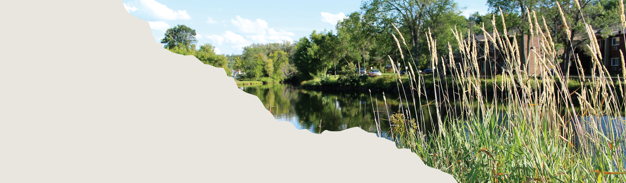 Coastal scene with tall grass in foreground, waterway, trees, apartment buildings, and a blue sky with clouds.