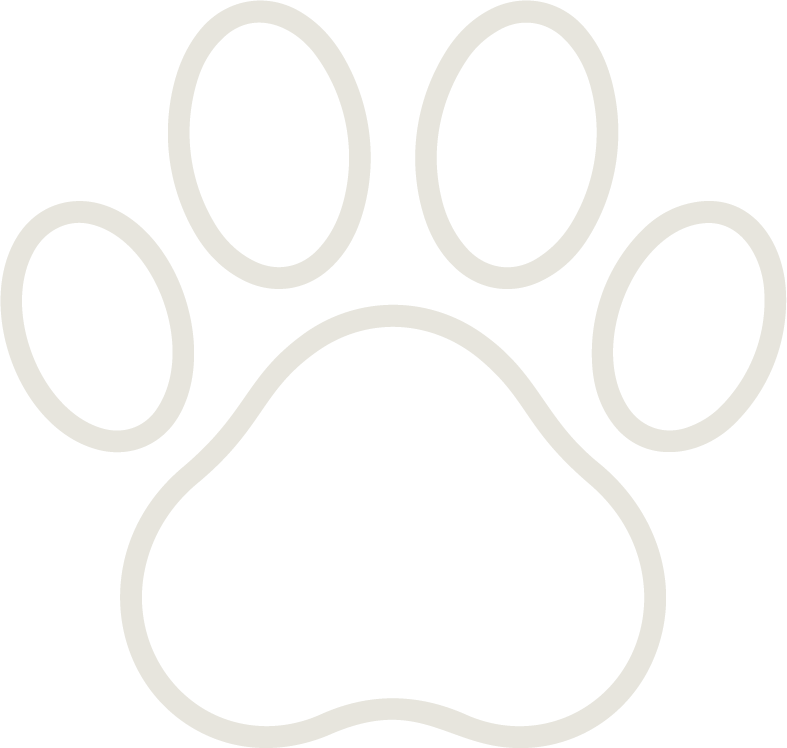 Outline of a paw print on a black background.