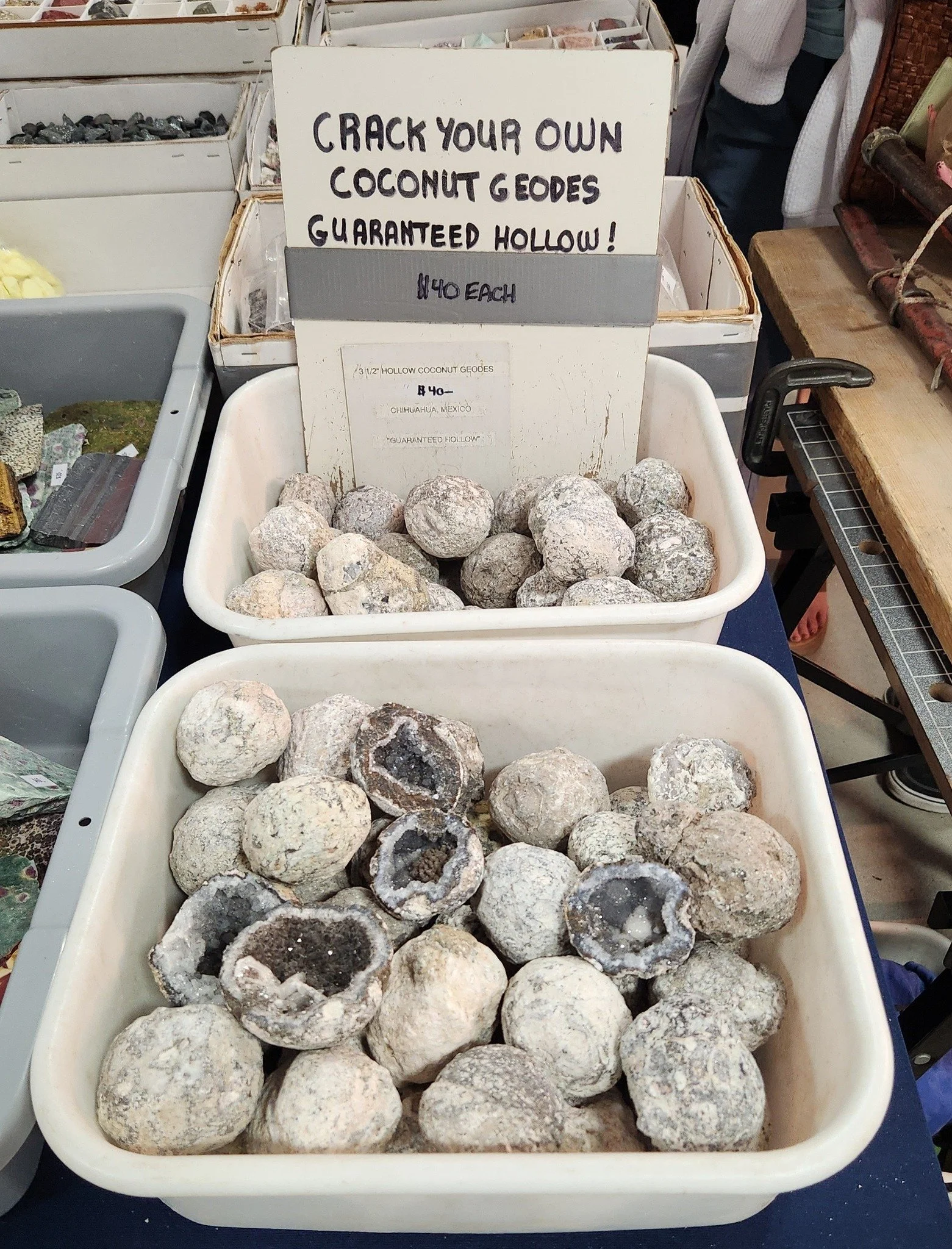Container of hollow coconut geodes at a market stall with a sign saying 'Crack your own coconut geodes guaranteed hollow! $14.40 each'.